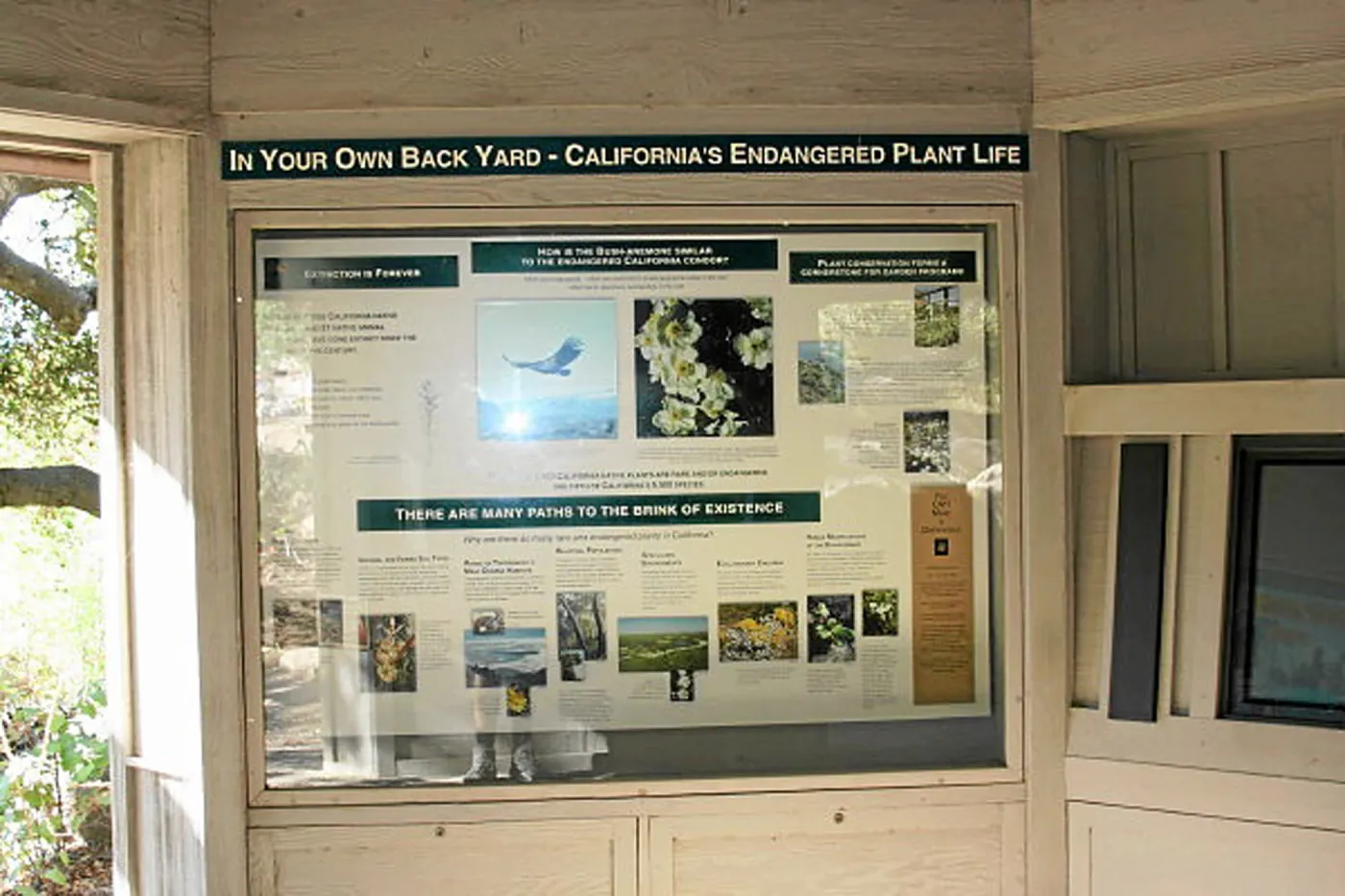 Information Kiosk, Terrarium site