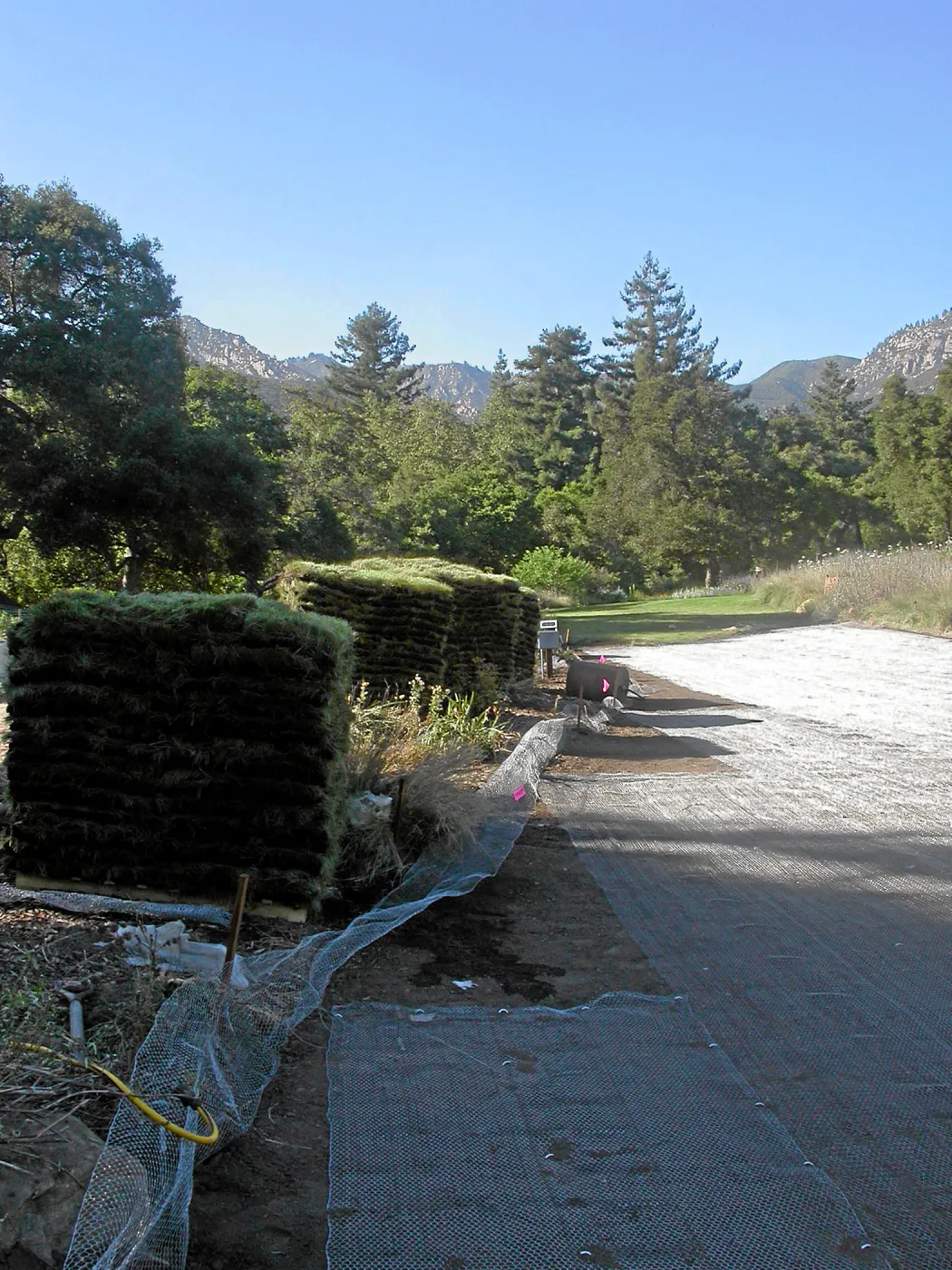 Gopher wire under sod, Meadow Lawn 2008