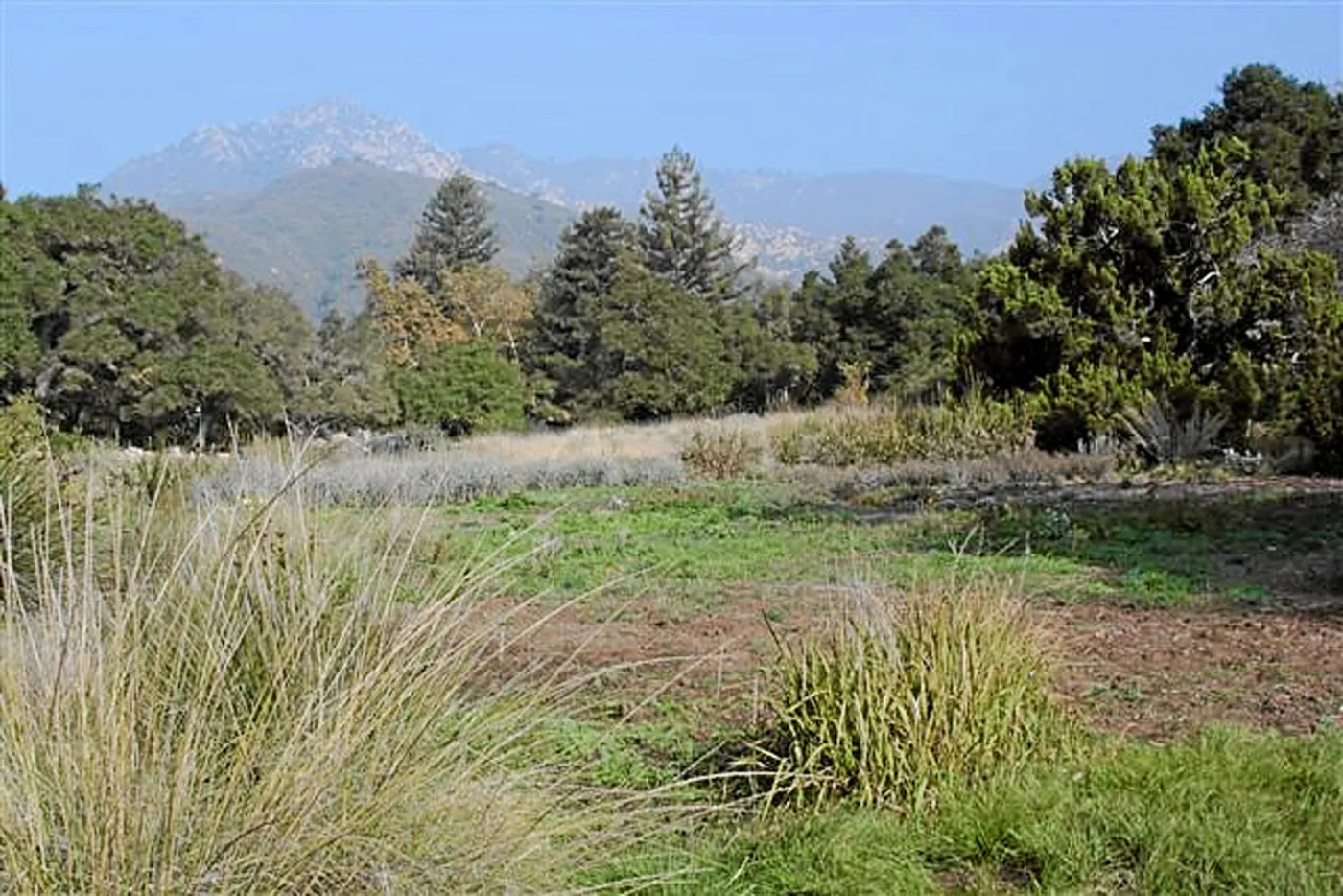 Meadow Terrace, North lower Meadow