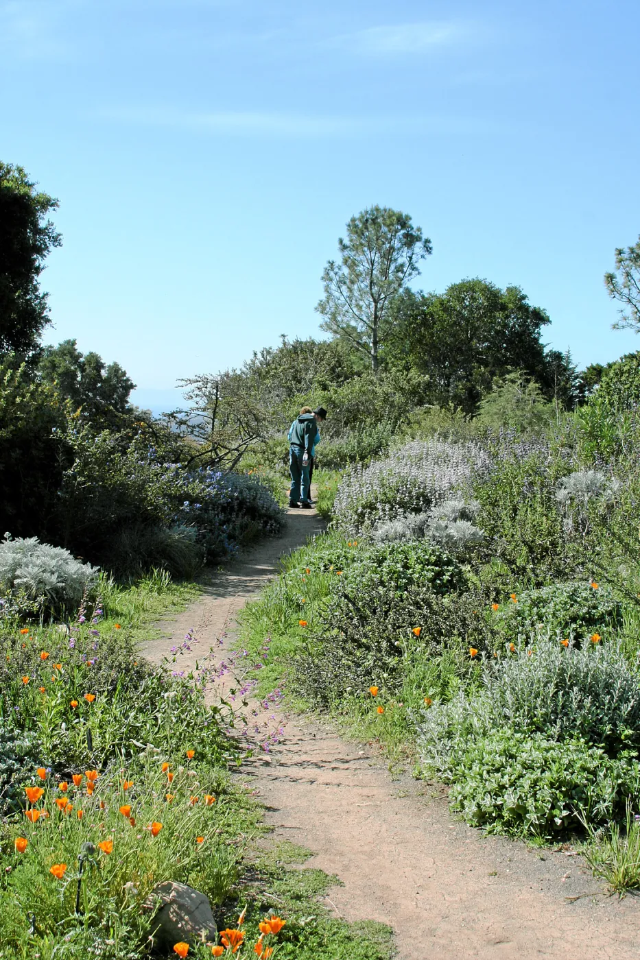 Paved trails on the Porter Trail