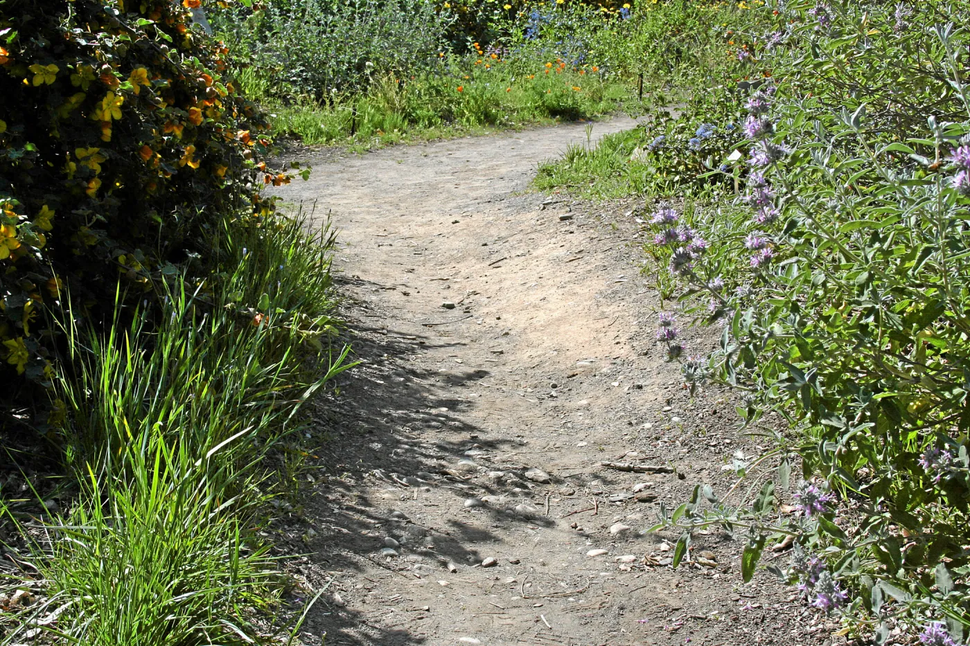 Paved trails on the Porter Trail