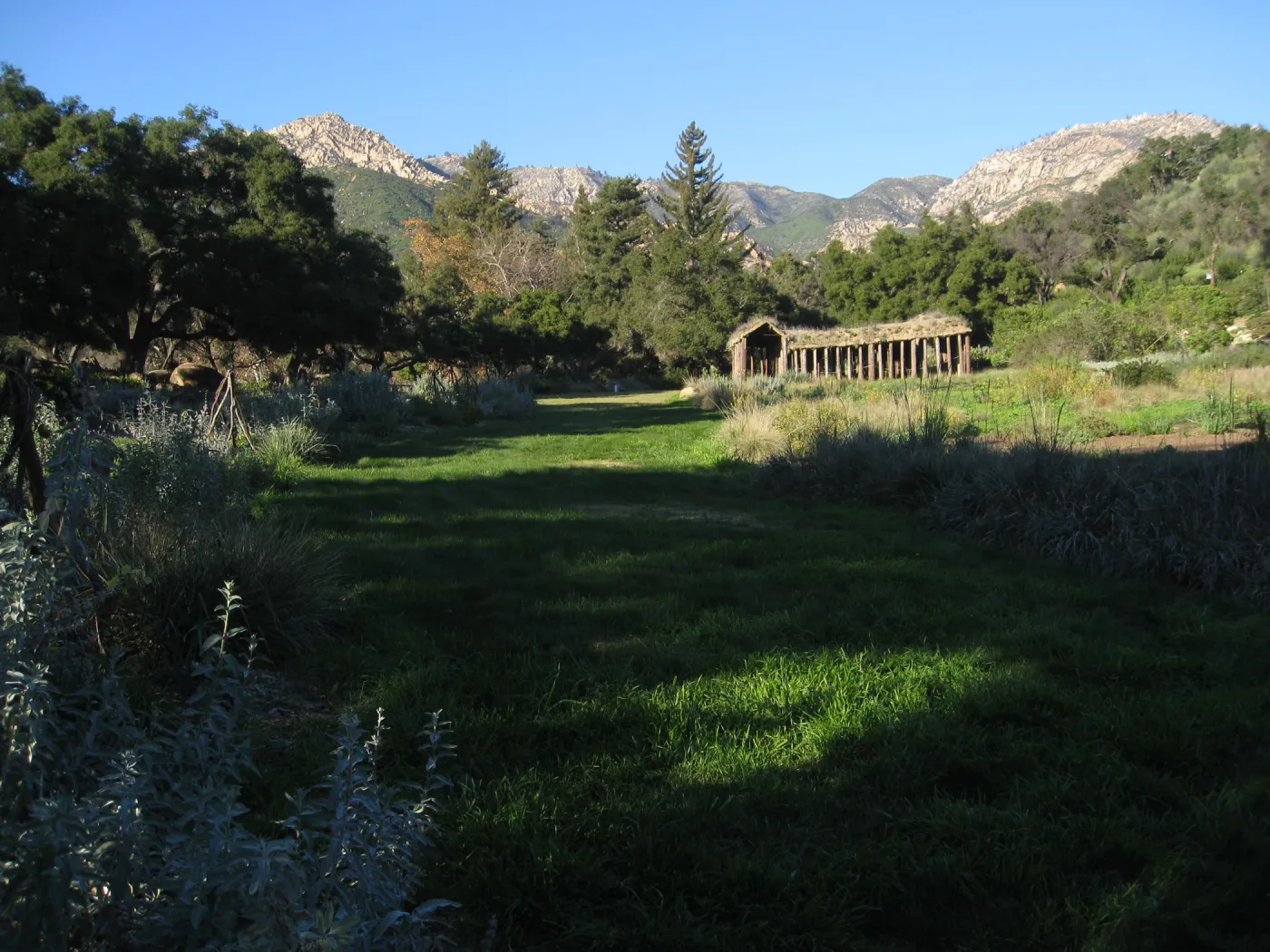 Meadow, festuca lawn, labyrinth in the distance