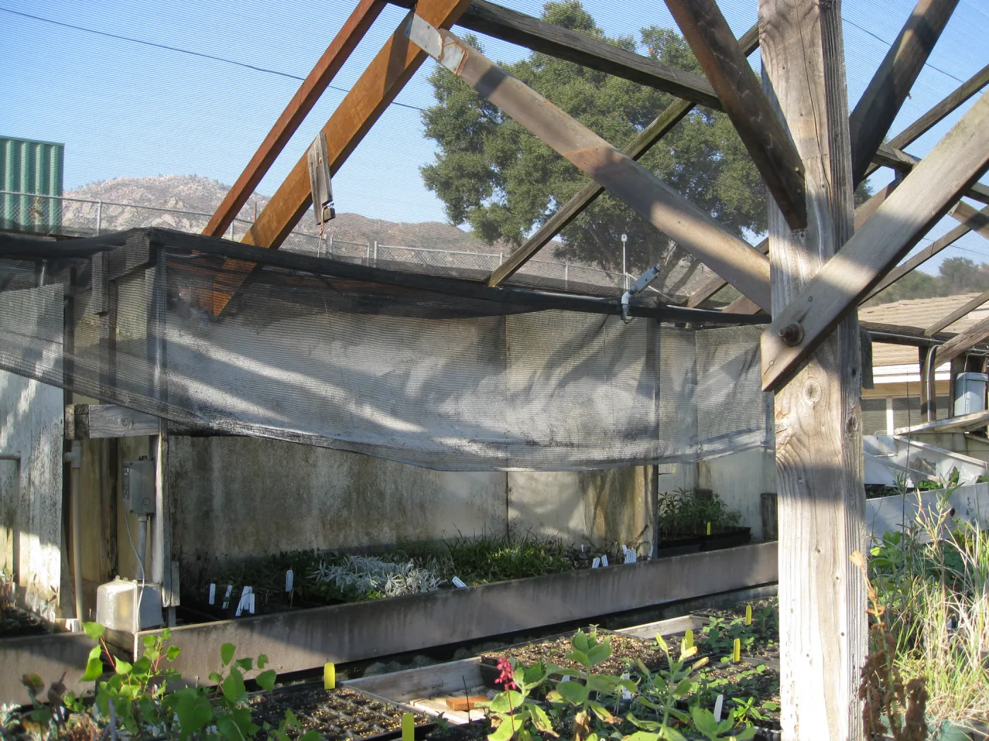Hort nursery shade house after fire repairs