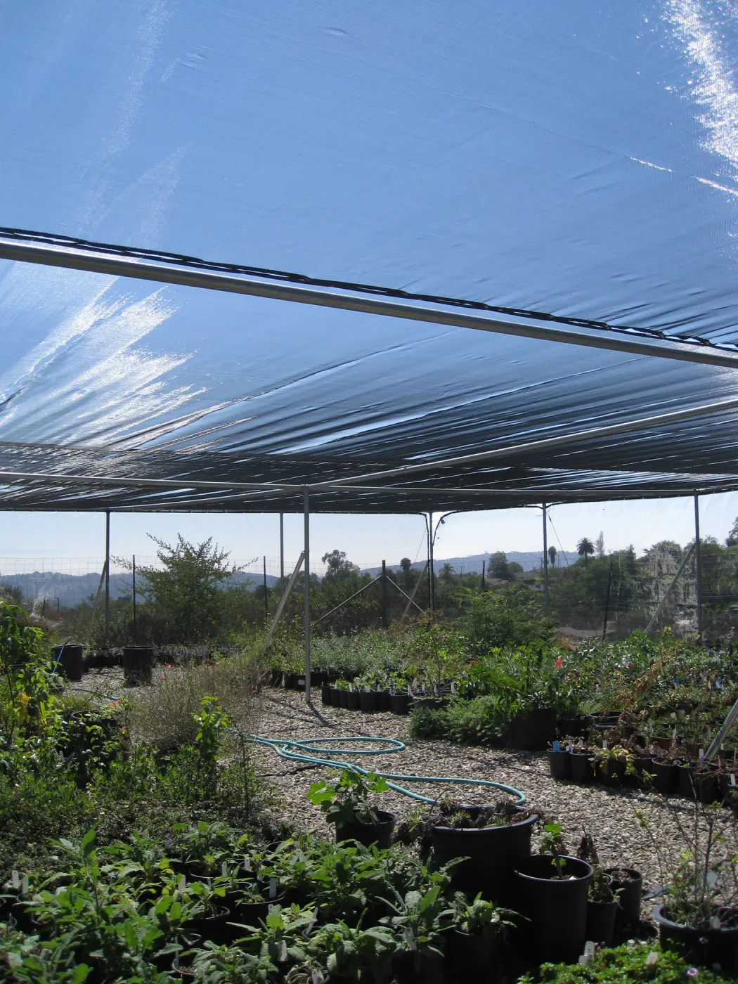 New shade cloth at lower canyard