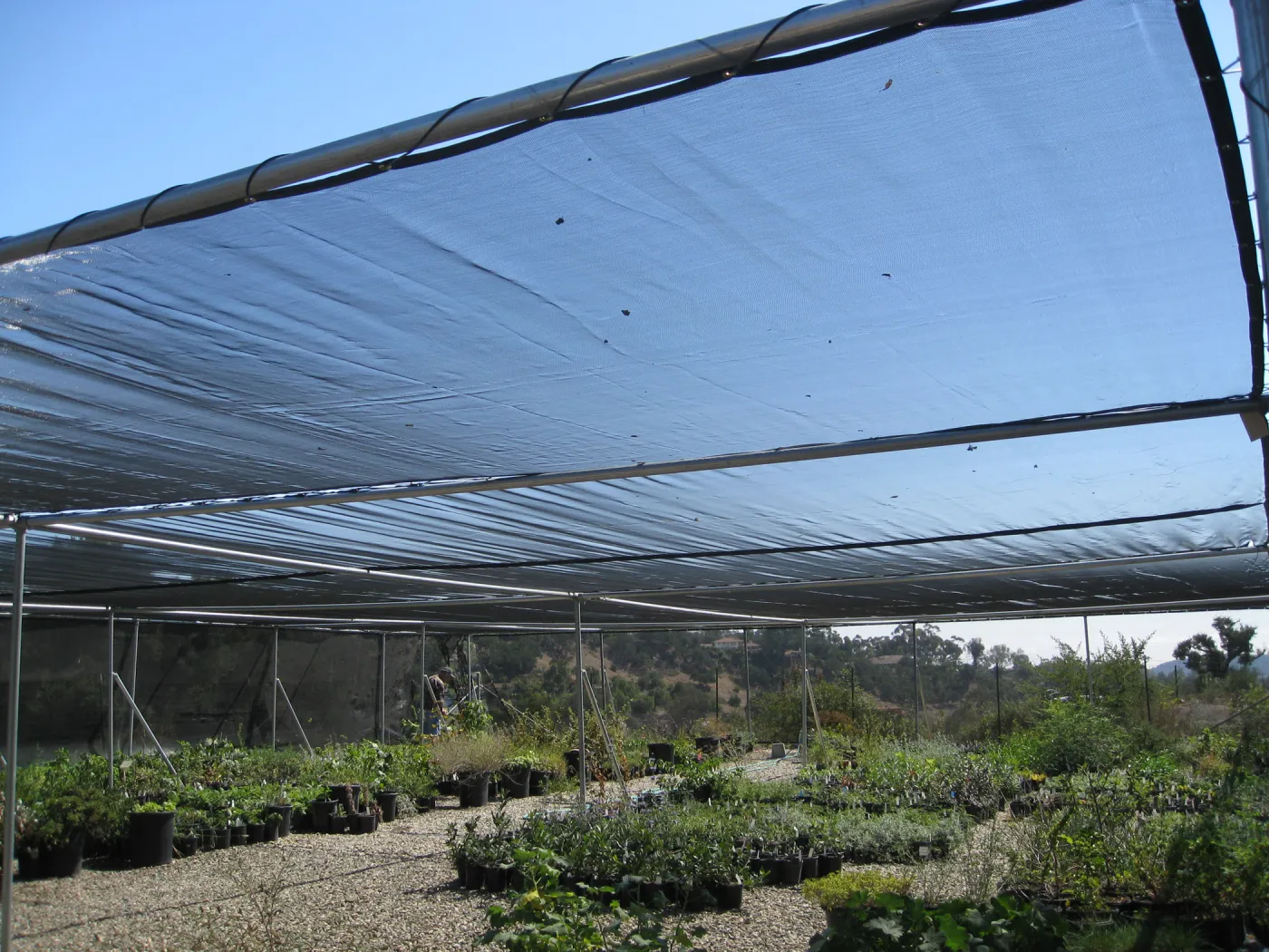 New shade cloth at lower canyard