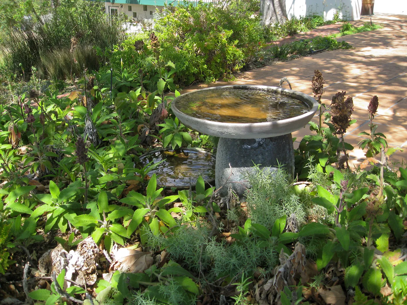 Birdbath at the Wallin garden
