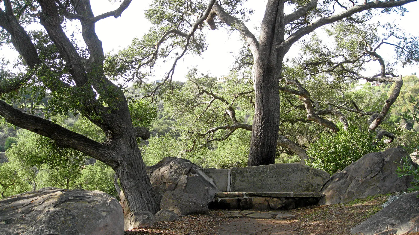 Bissell bench, Meadow Oaks