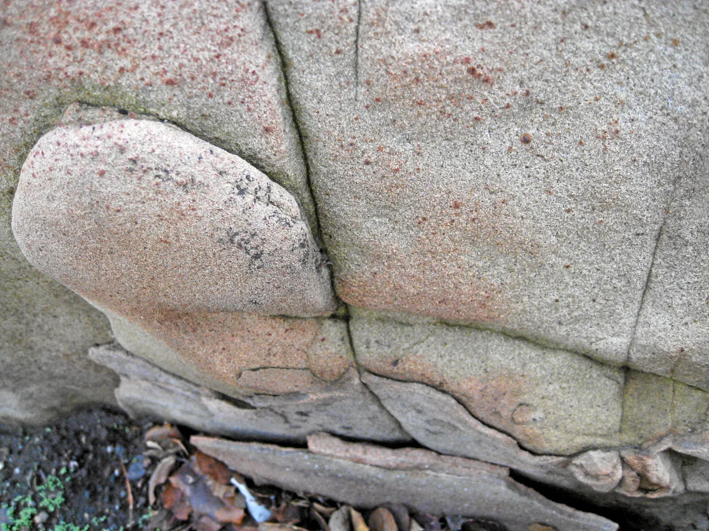 Sandstone boulders in the Desert Section