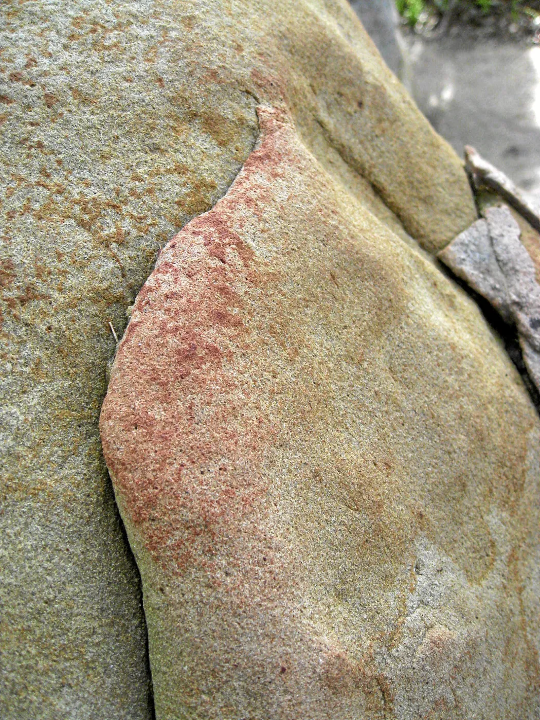 Sandstone boulders in the Desert Section