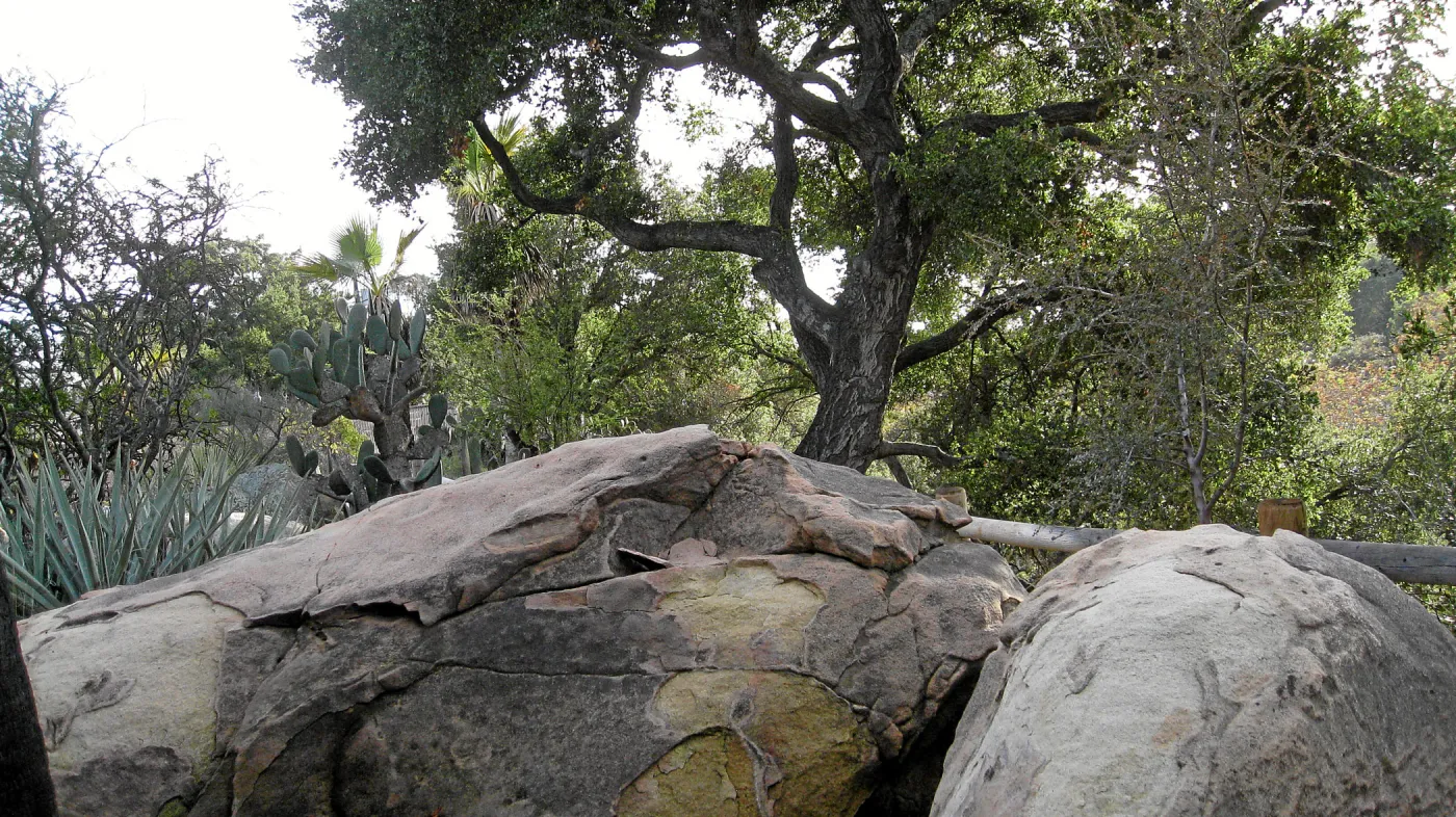 Sandstone boulders in the Desert Section