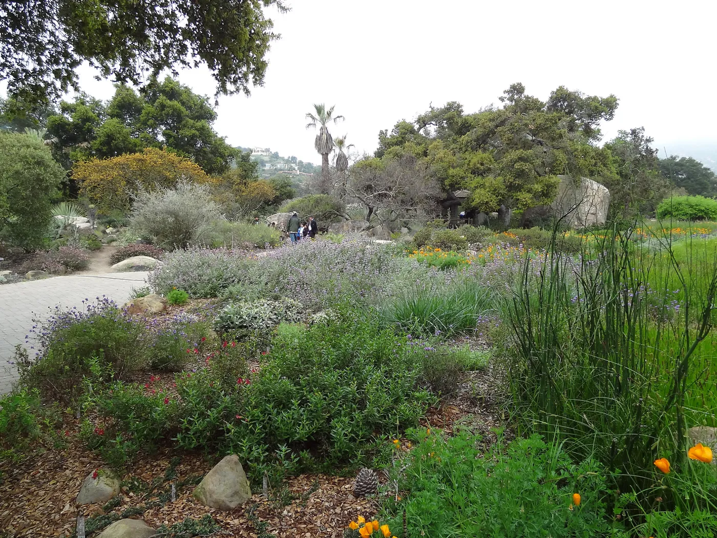 Lower Meadow with Desert Section in background