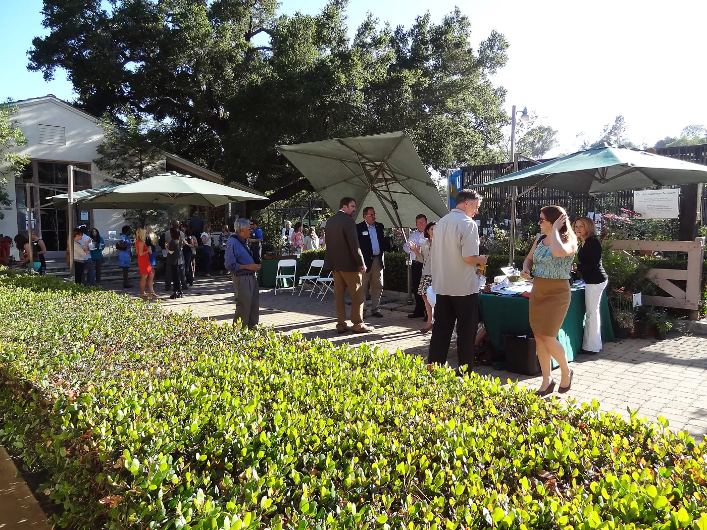 SBBG hosts Santa Barbara Chamber of Commerce Mixer, June 2013