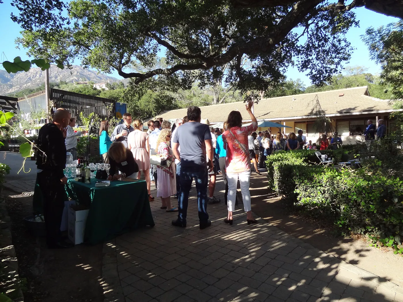 SBBG hosts Santa Barbara Chamber of Commerce Mixer, June 2013