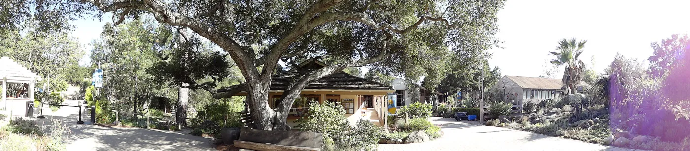 Garden Shop, Garden Entrance, wood bench, entrance oak, SBBG, panorama