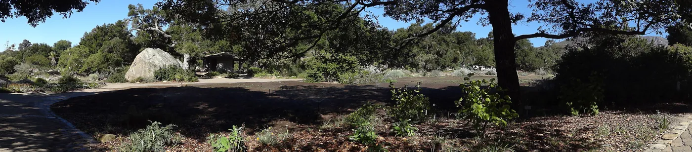 SBBG Meadow Revival Project, August 2013, panorama