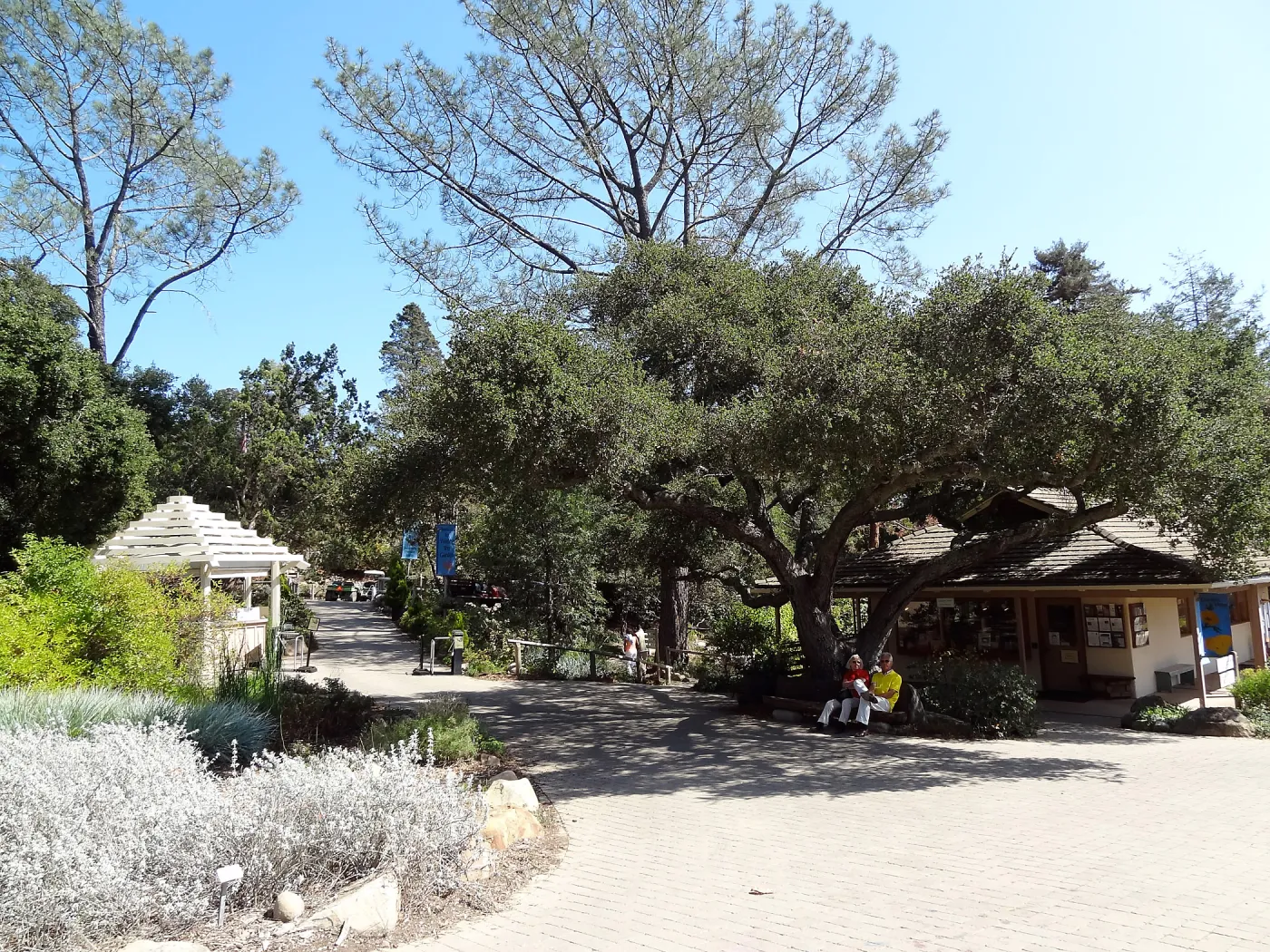 Garden Shop, Garden Entrance, wood bench, entrance oak, SBBG