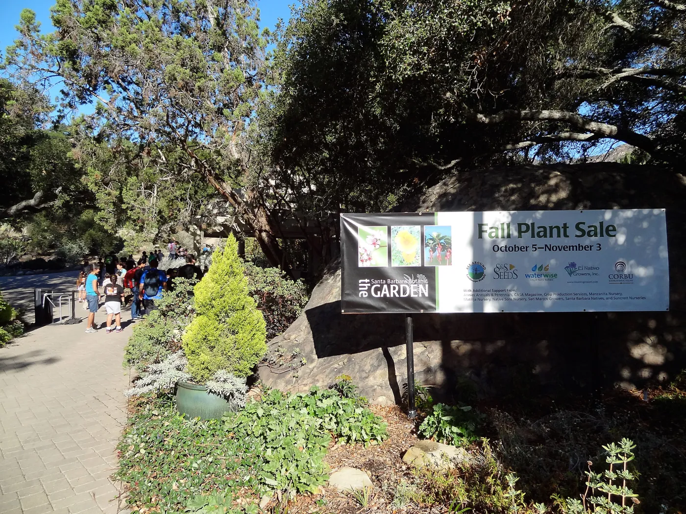 Fall Plant Sale 2013, banner at Garden entrance, SBBG, school children arriving for School Tour