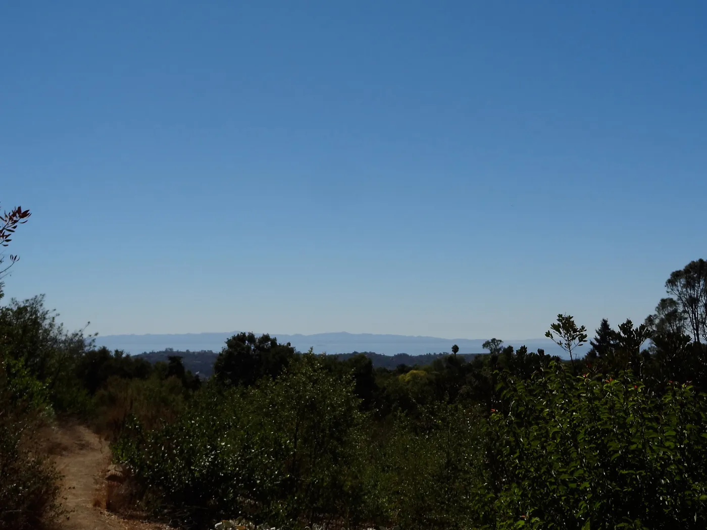 View to the Channel Islands from the Porter Trail, SBBG