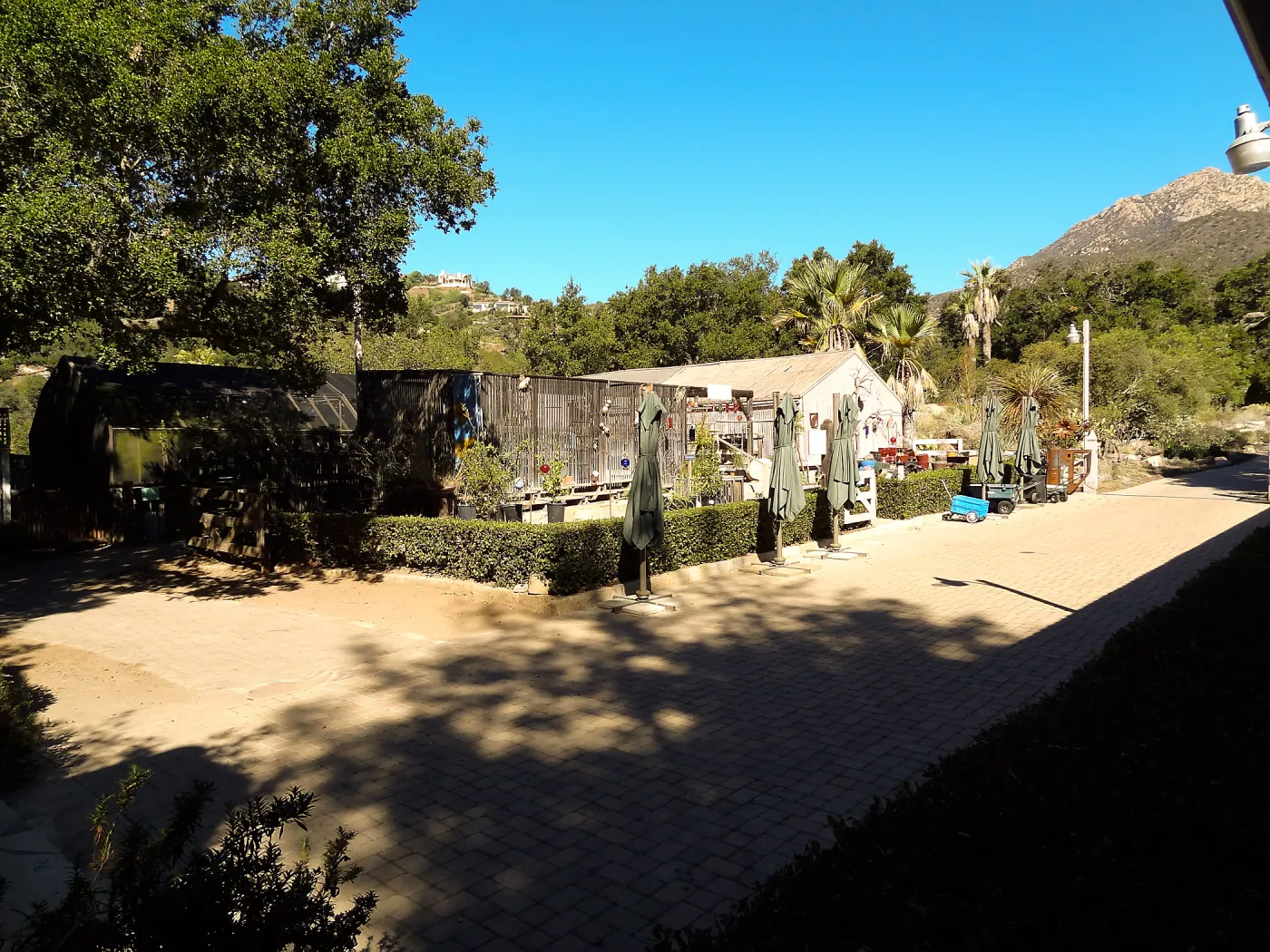 SBBG Fall Plant Sale 2013 set up in the Garden Courtyard and Garden Growers Nursery