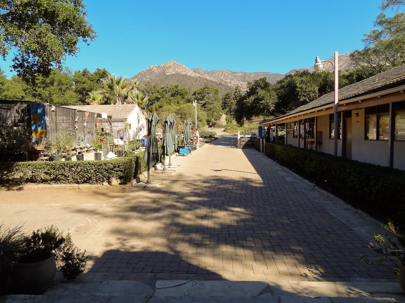 SBBG Fall Plant Sale 2013 set up in the Garden Courtyard and Garden Growers Nursery