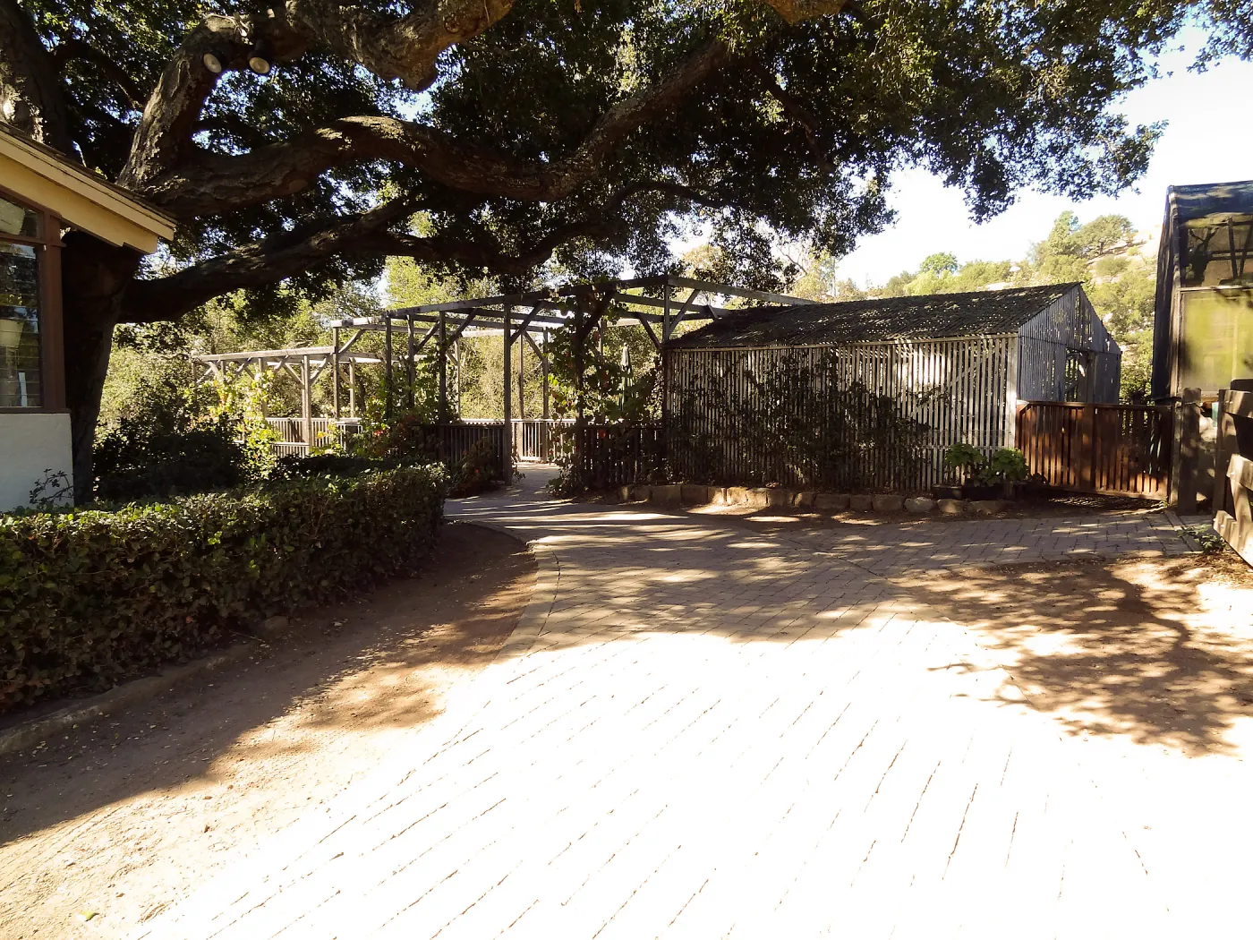 SBBG Fall Plant Sale 2013 set up in the Garden Courtyard and Garden Growers Nursery