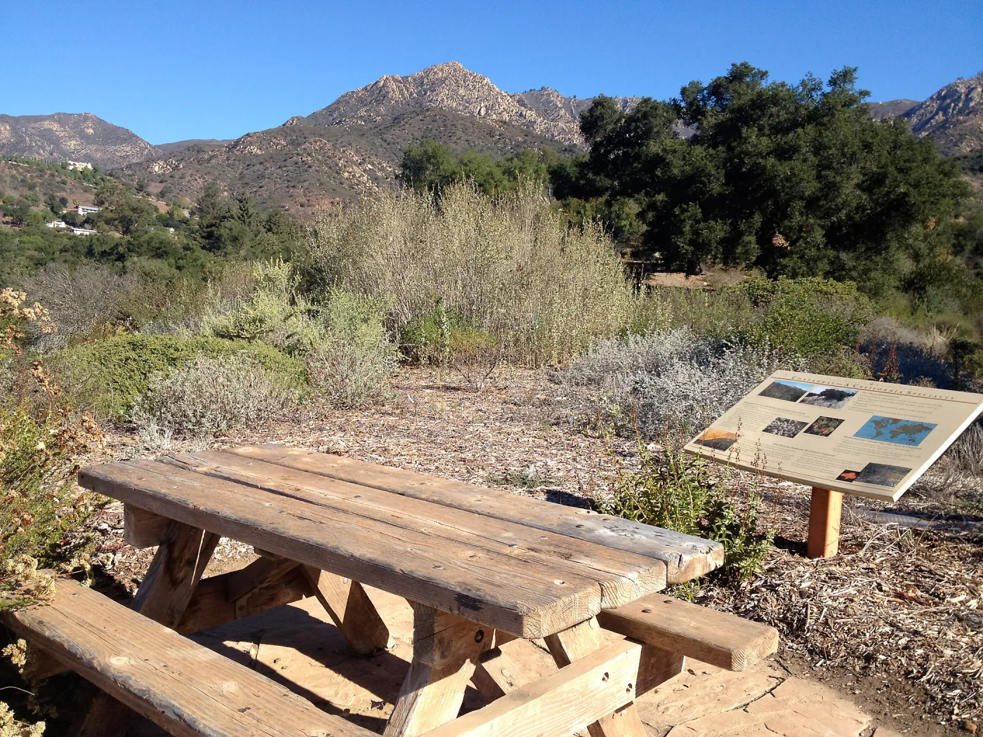 Wood Bench on the Porter Trail, SBBG