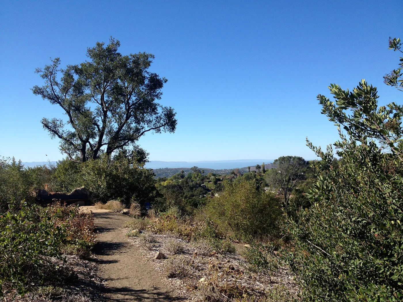 View to the Channel Islands from the Porter Trail, SBBG