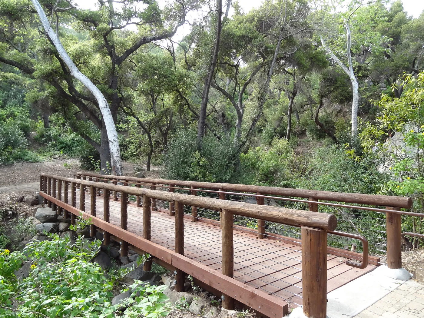 new Campbell Bridge, February 2013