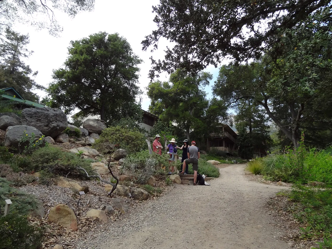 Visitors in the Discovery Garden, Arroyo Section, SBBG