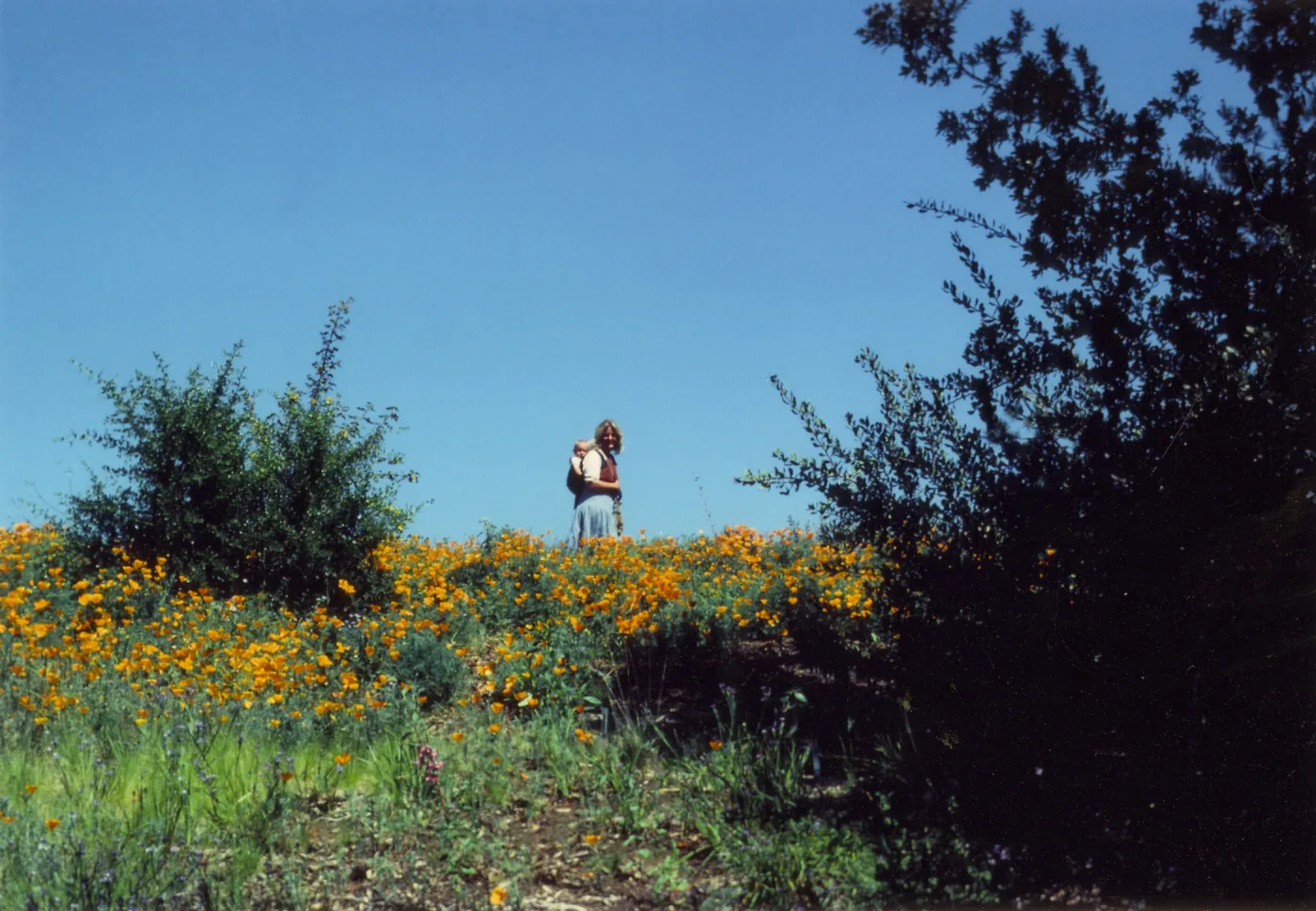 Carol Ostroff on Porter Trail