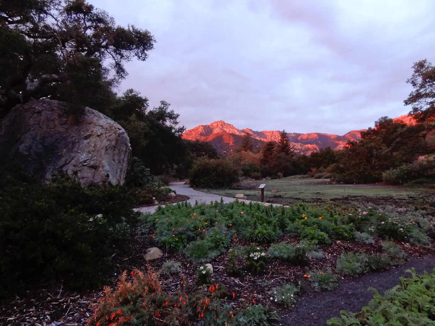 SBBG 20th Annual Holiday Marketplace 2013, sunset