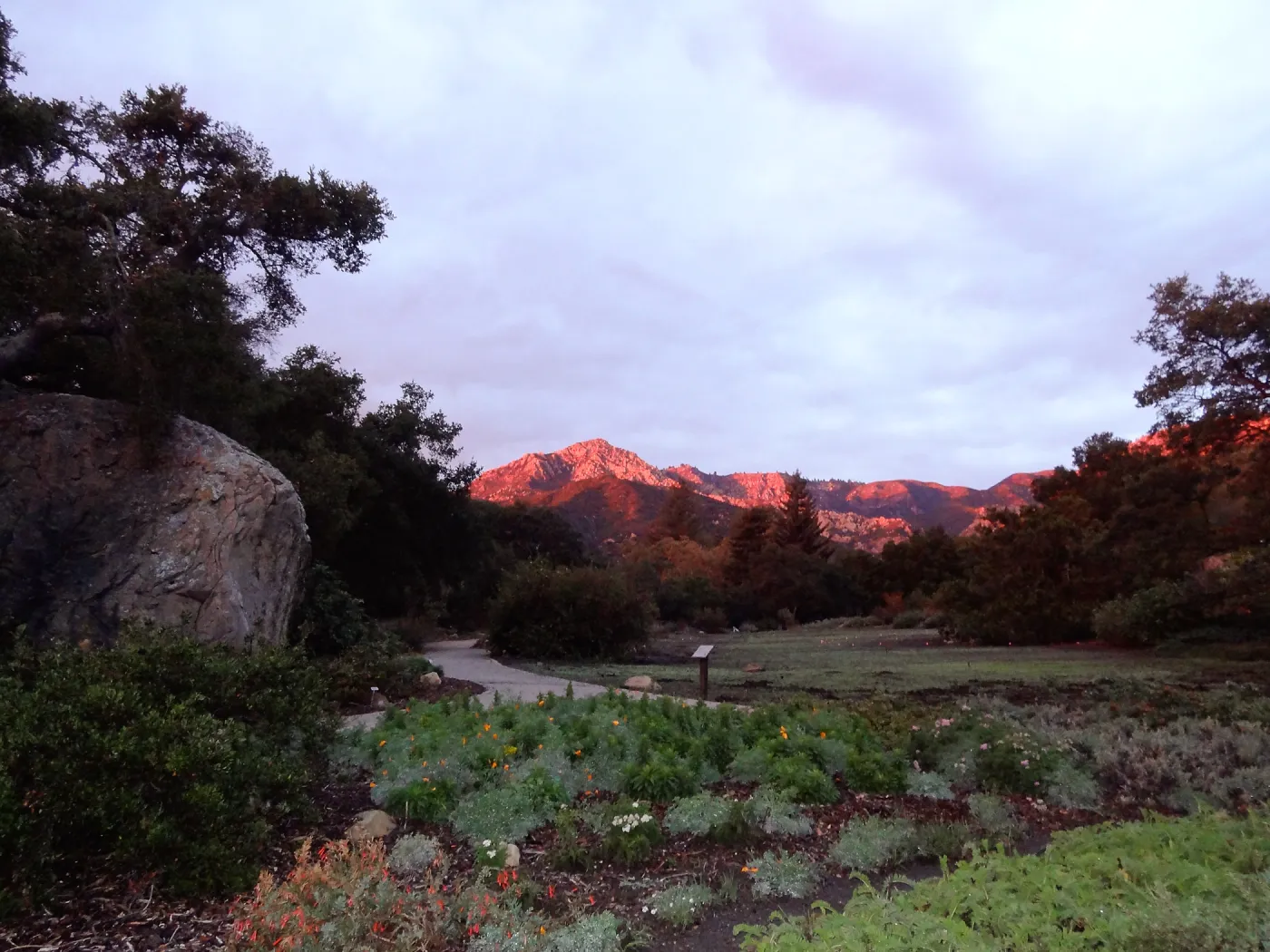 SBBG 20th Annual Holiday Marketplace 2013, sunset