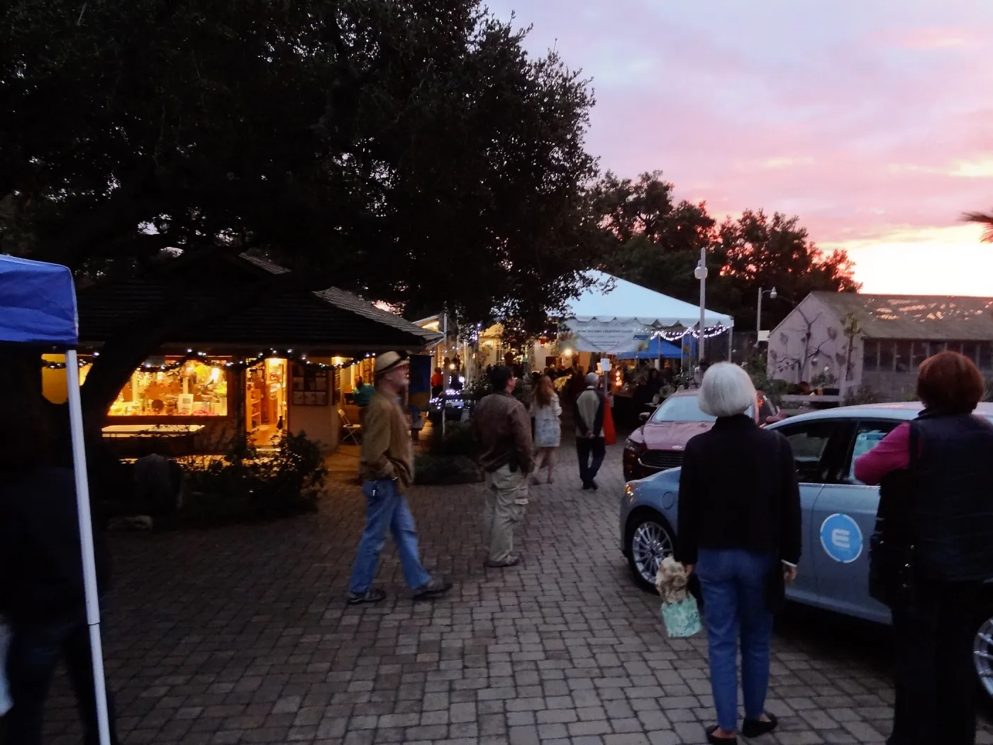 SBBG 20th Annual Holiday Marketplace 2013