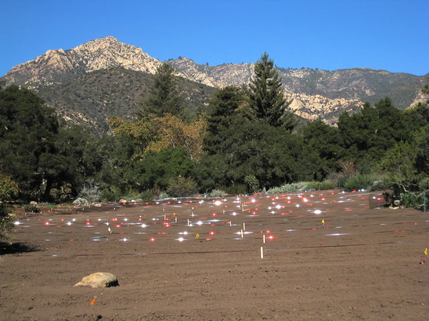 Reflective Bird Repellent Tape, Meadow Revival Project