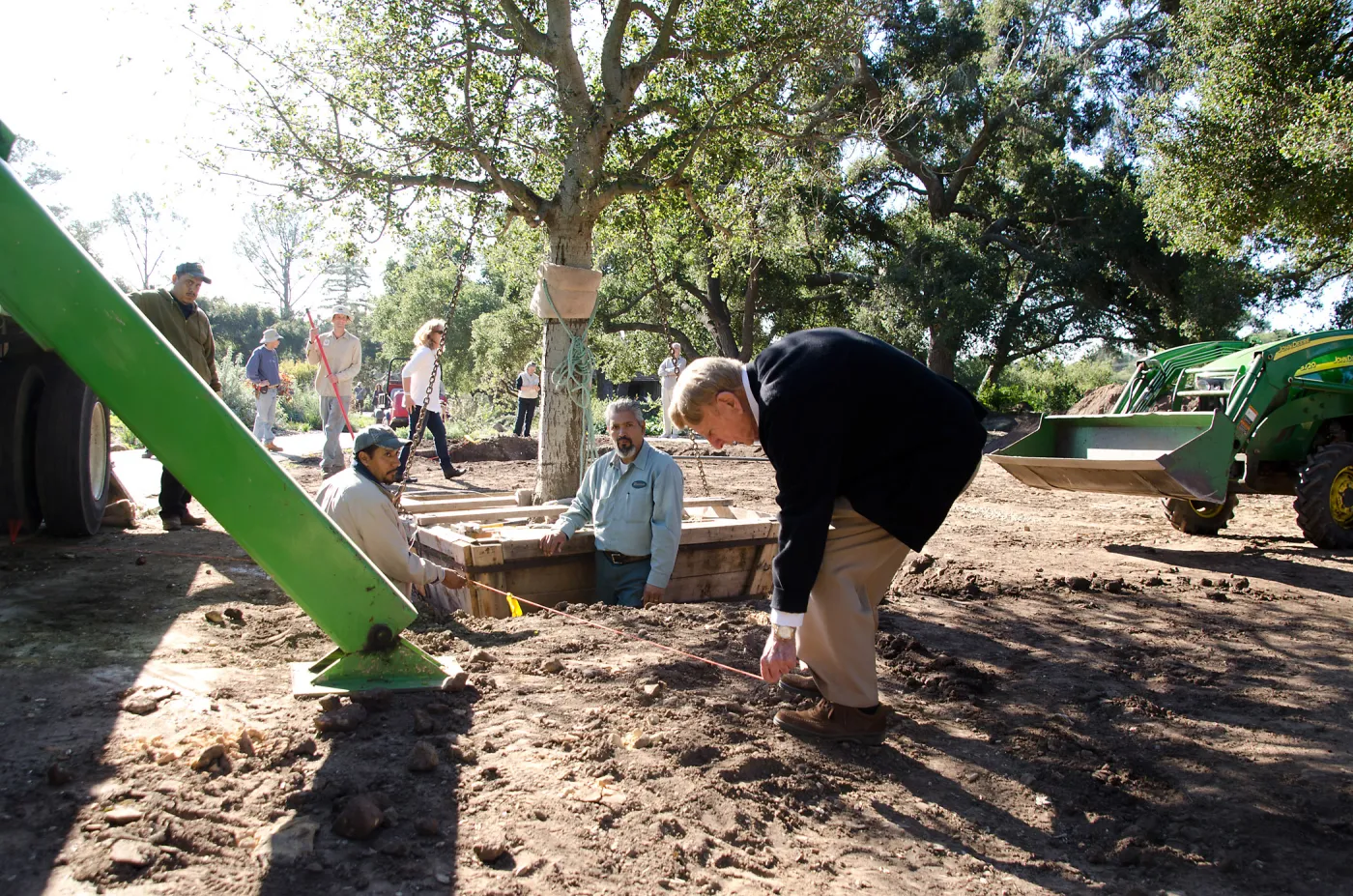 New oaks (Coastal Live Oak) arrive at SBBG, Meadow Oaks, Kellam de Forest checks measurements