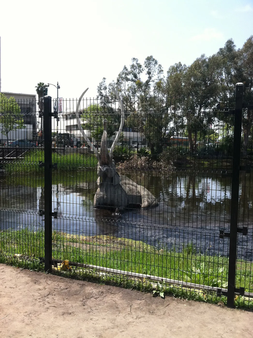 Docent field trip to La Brea tar pits, George C. Paige Museum, La Brea Discoveries