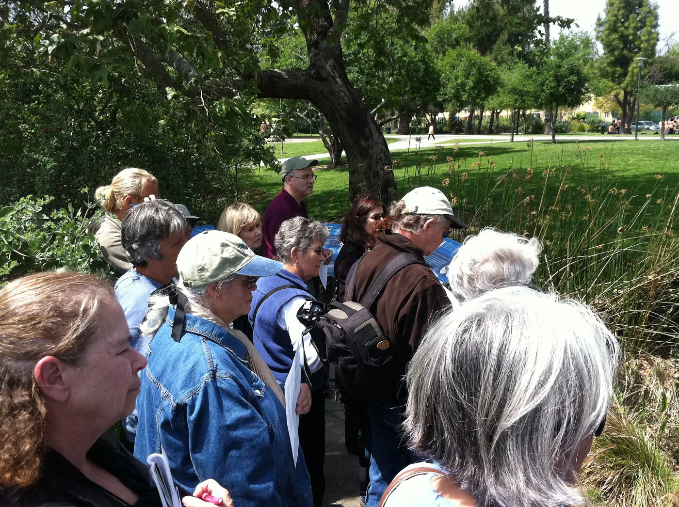 Docent field trip to La Brea tar pits, George C. Paige Museum, La Brea Discoveries