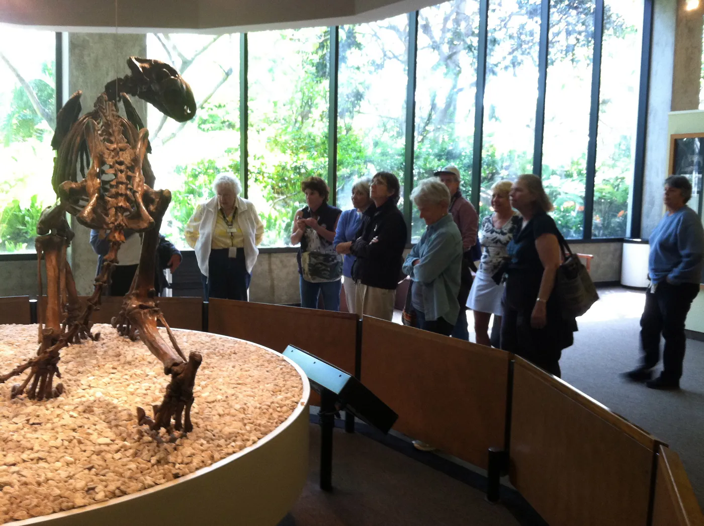 Docent field trip to La Brea tar pits, George C. Paige Museum, La Brea Discoveries