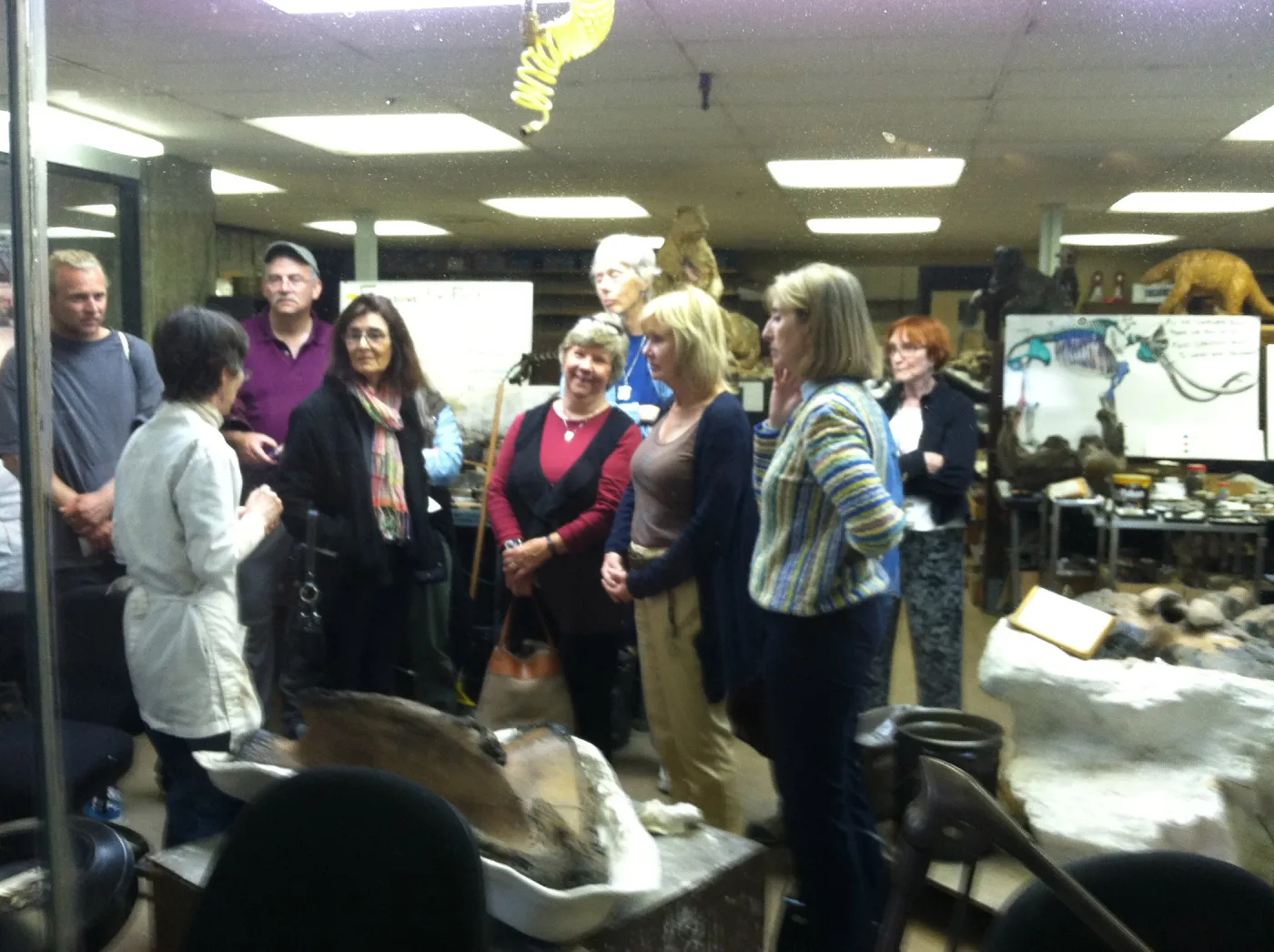 Docent field trip to La Brea tar pits, George C. Paige Museum, La Brea Discoveries