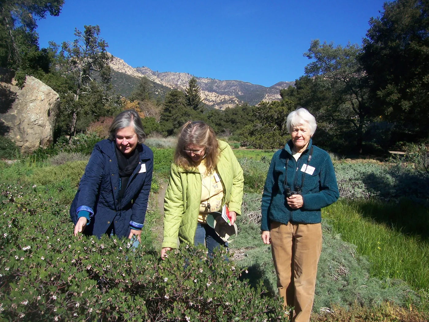 California Naturalists, SBBG, Judy Sanregret, Susan Davidson, Cathy Rose