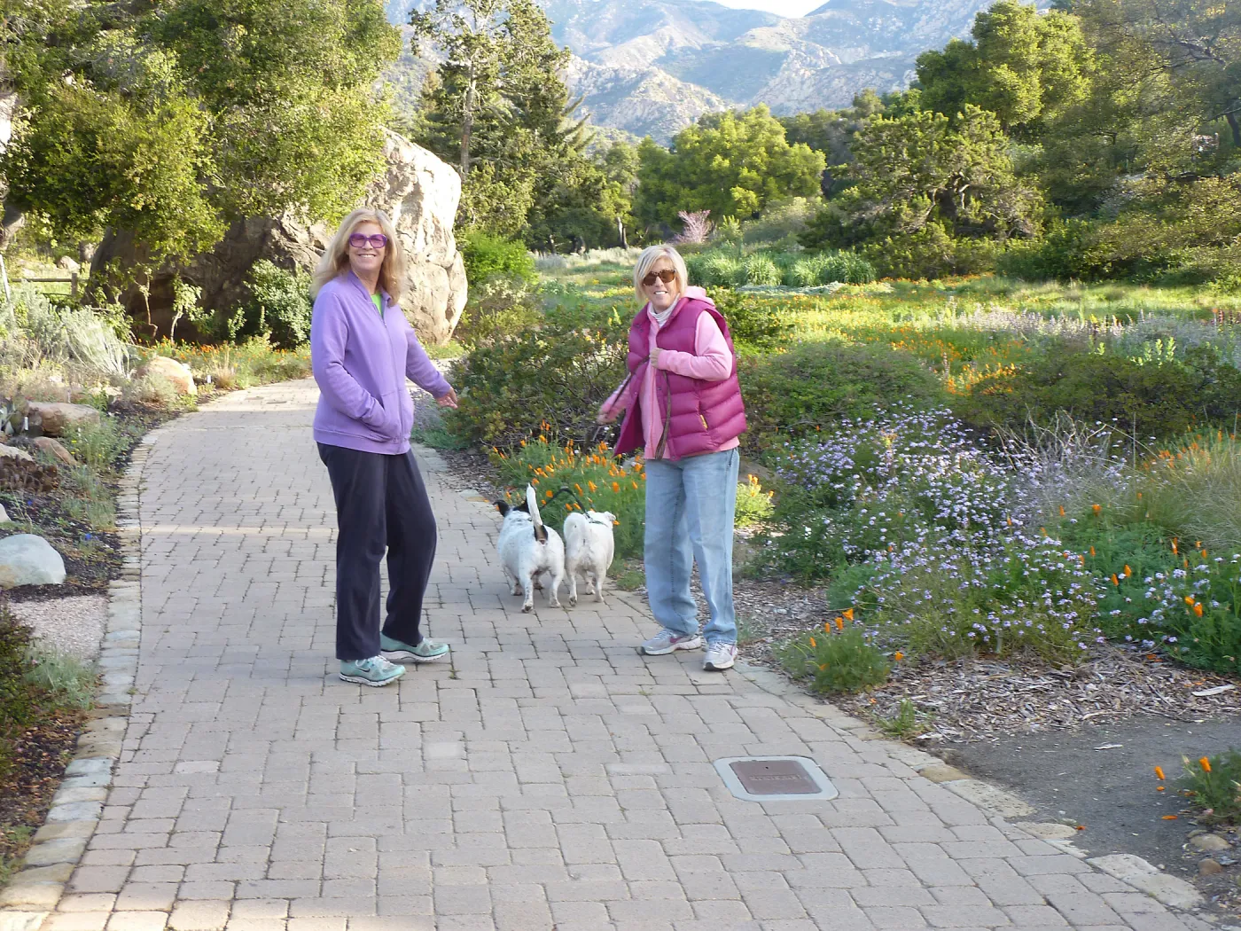 Visitors with dogs on leash, SBBG