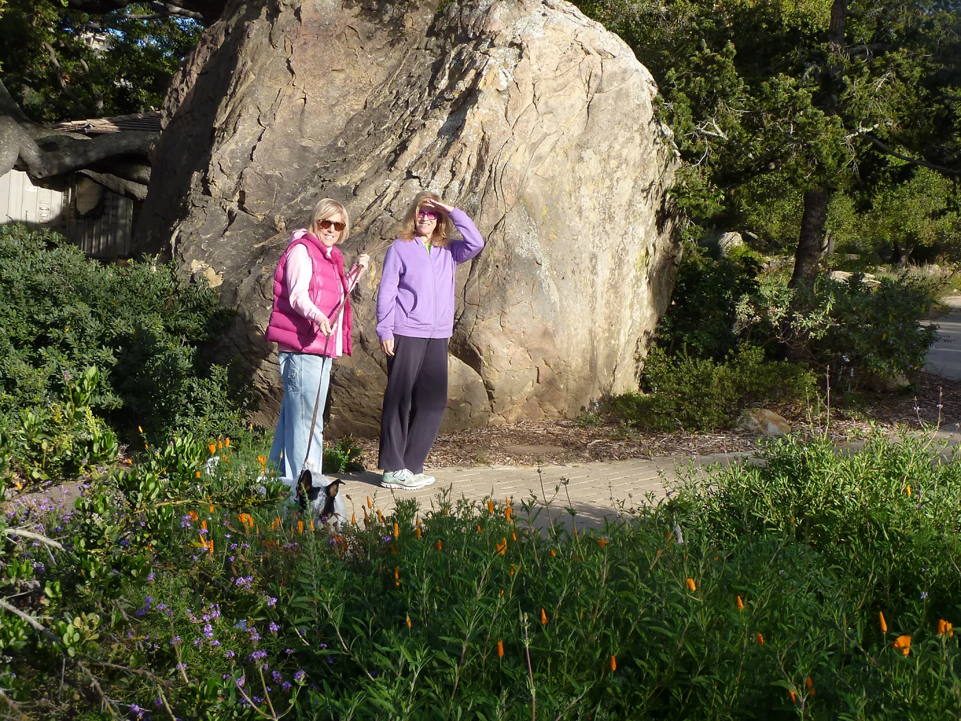 Visitors with dogs on leash