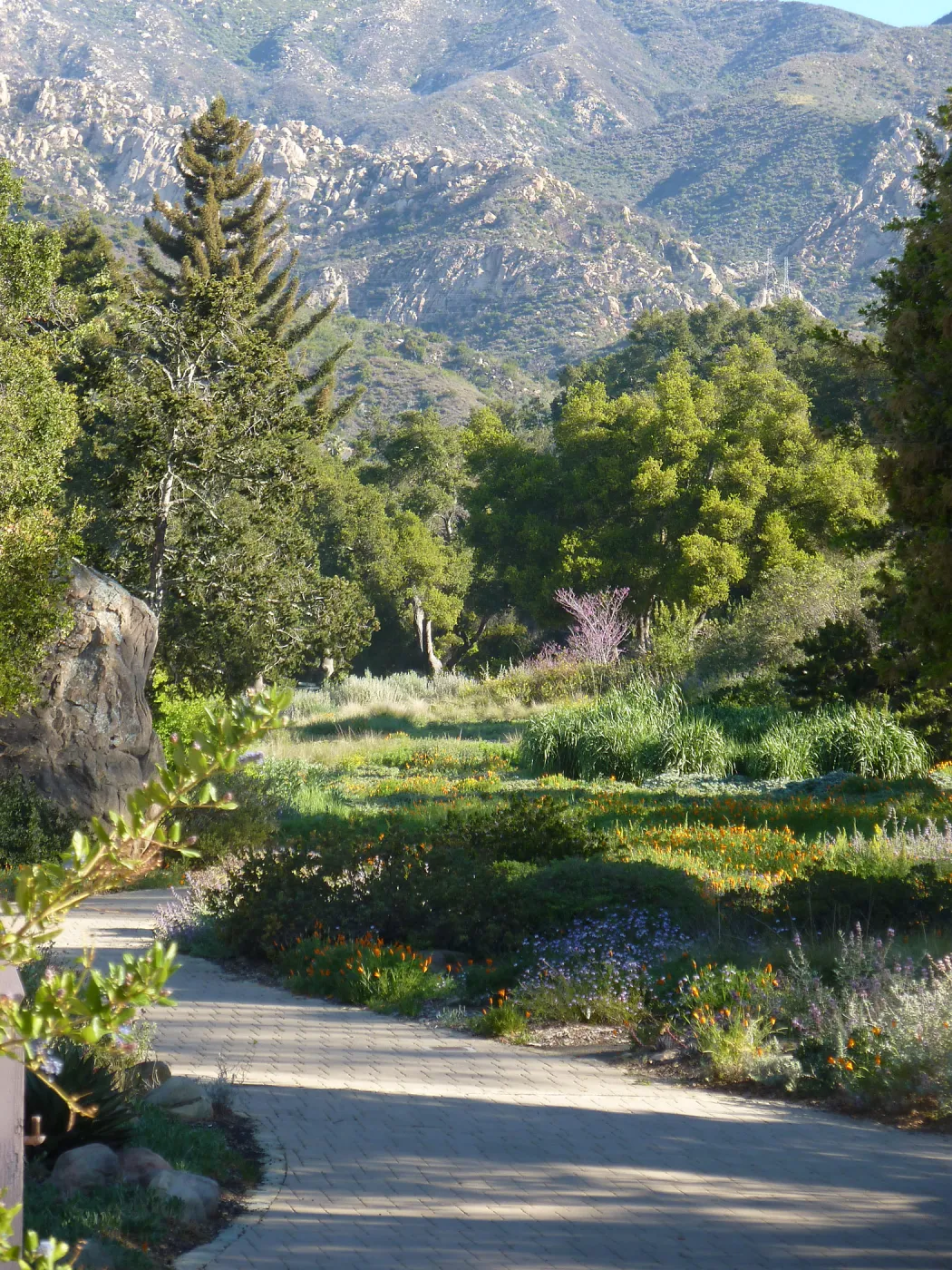 walkway along the Meadow border, Blaksley Boulder