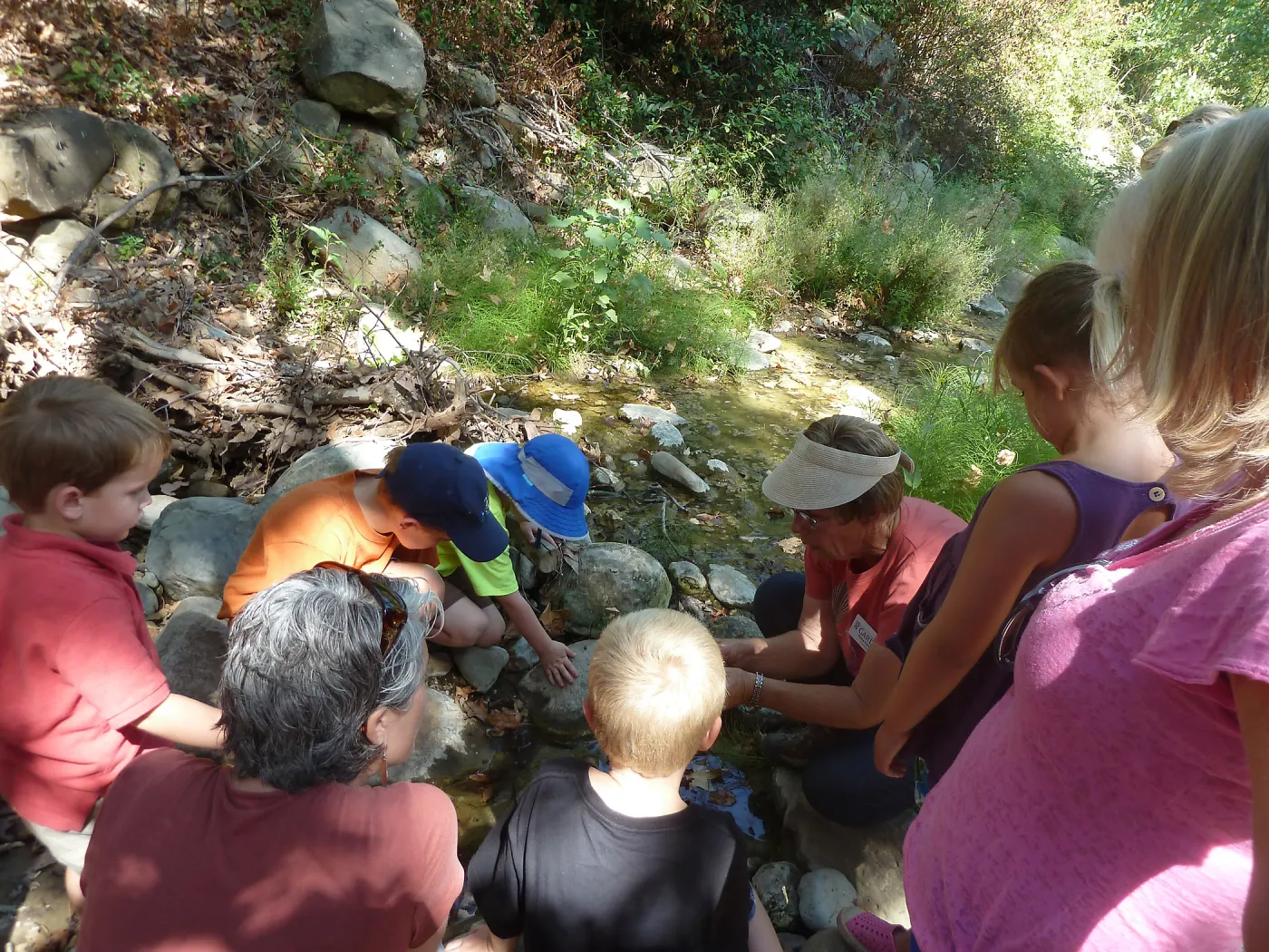 Creek Critters, childrens class