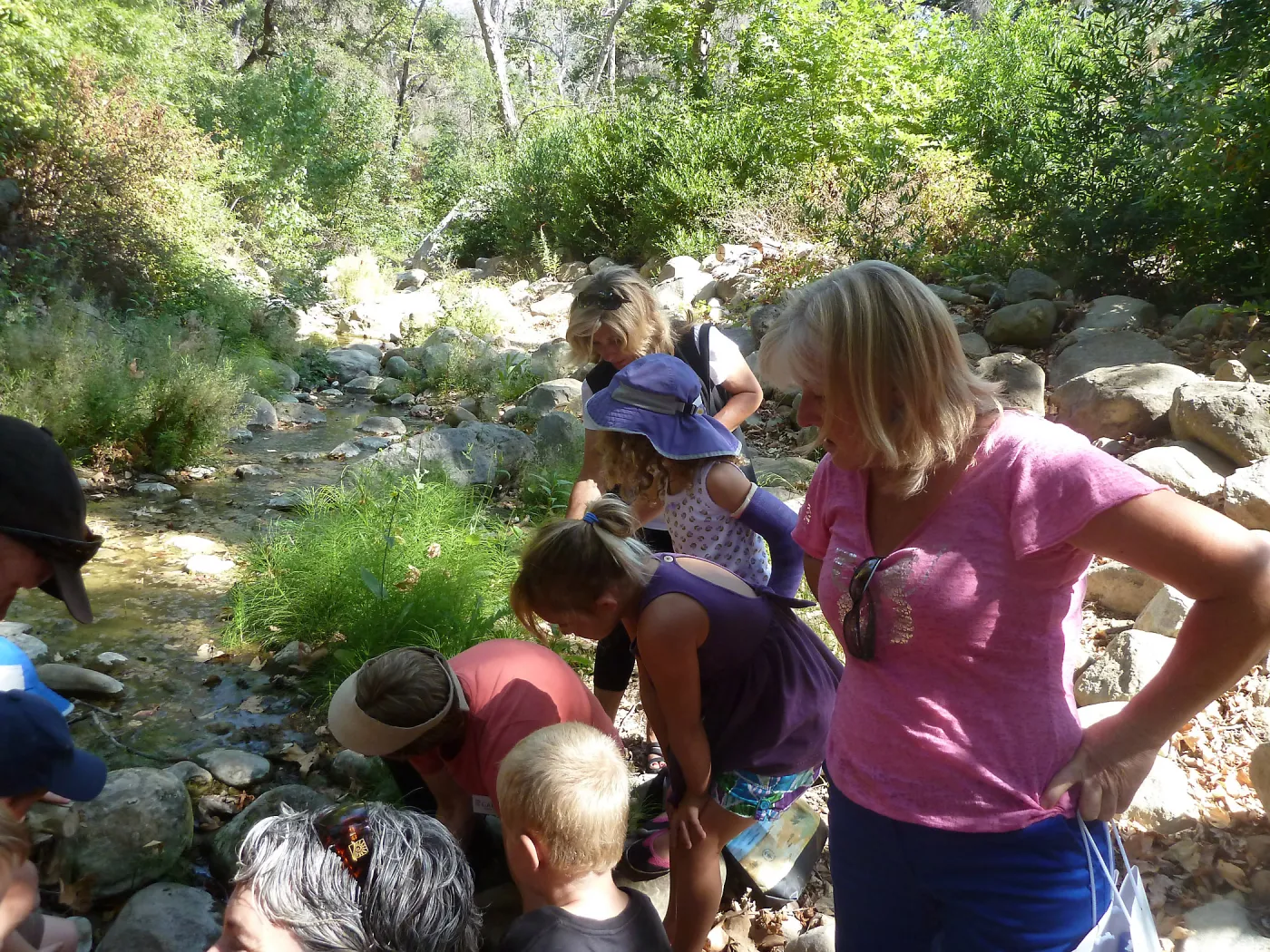 Creek Critters, childrens class