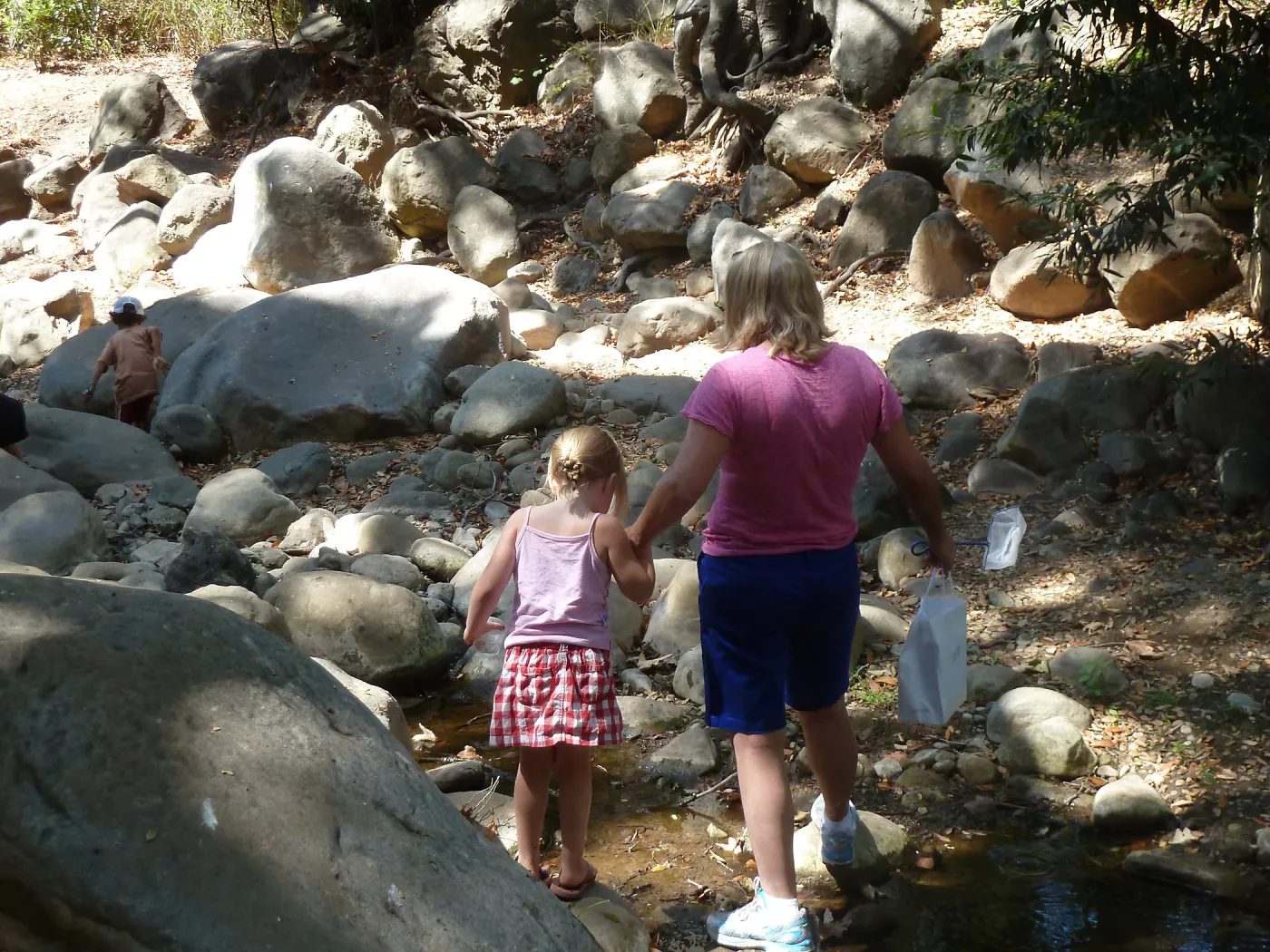 Creek Critters, childrens class