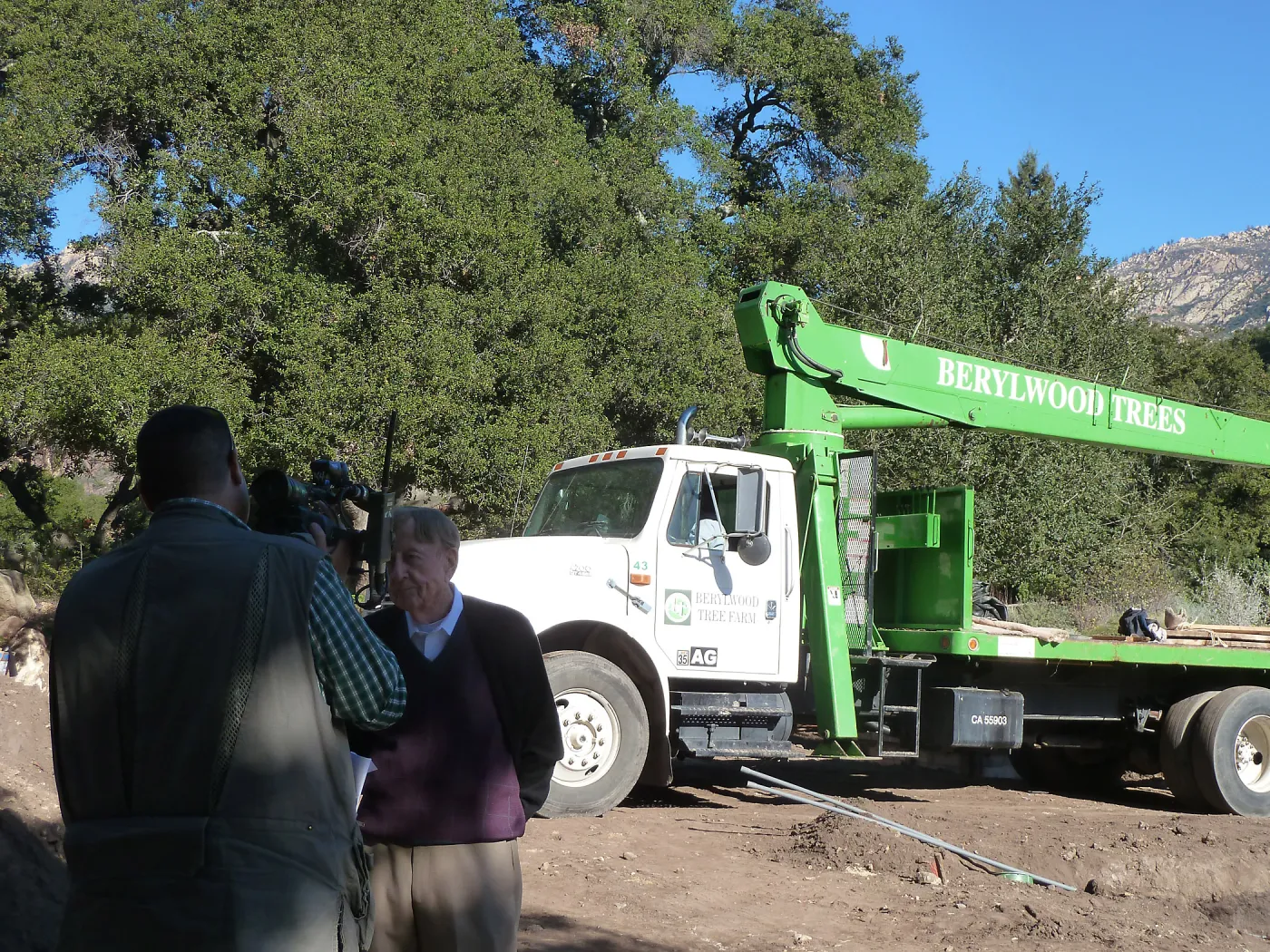 Delivery and placement of two new oak trees (Coastal Live Oak) in the Meadow Oaks display