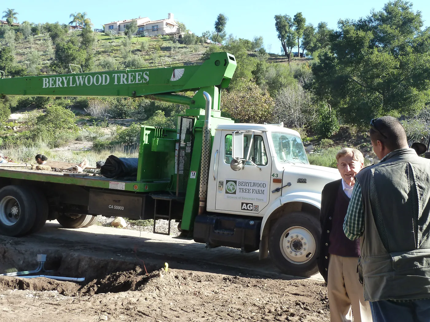 Delivery and placement of two new oak trees (Coastal Live Oak) in the Meadow Oaks display
