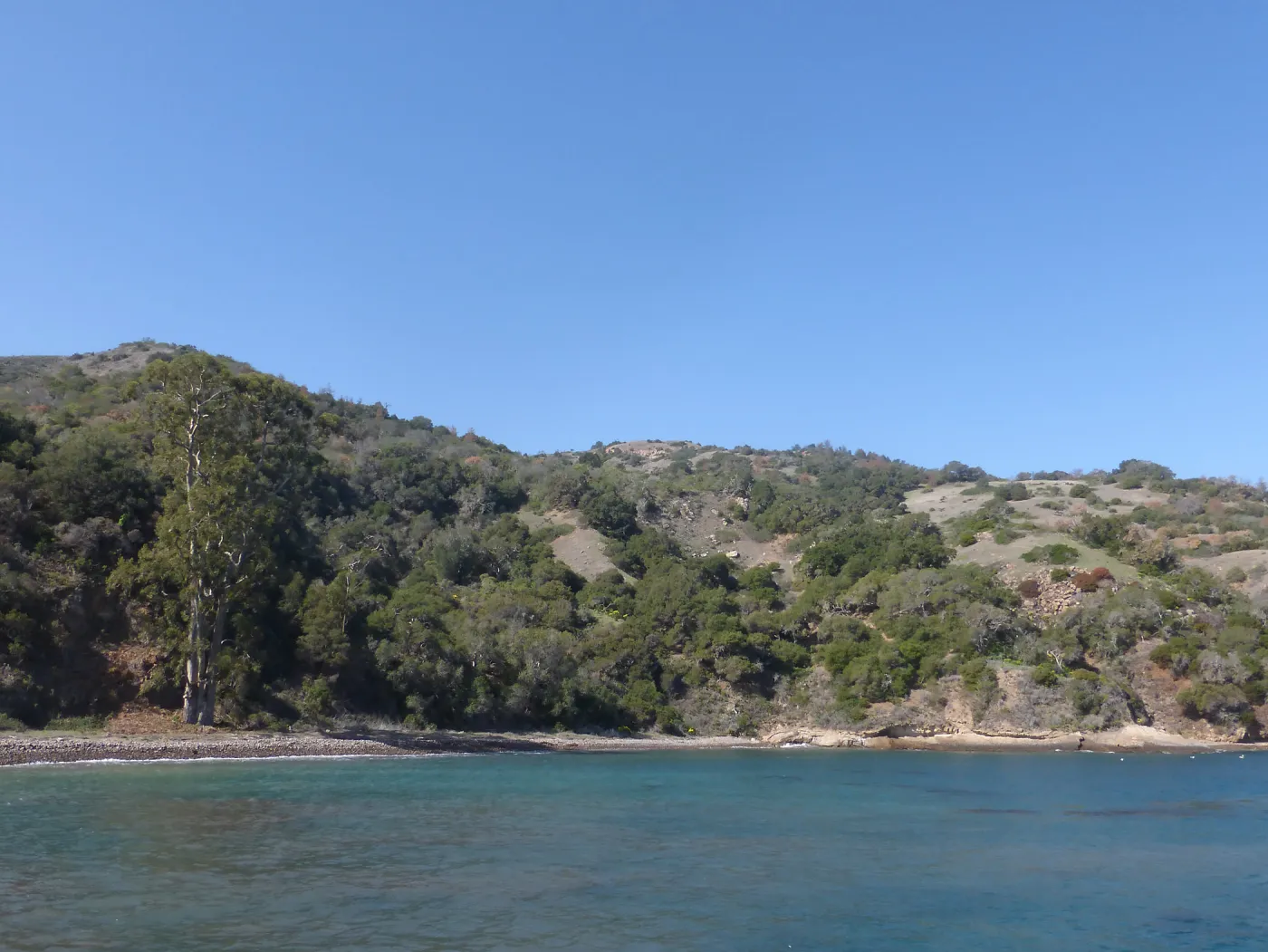 Steve Junak Retirement Trip to Santa Cruz Island