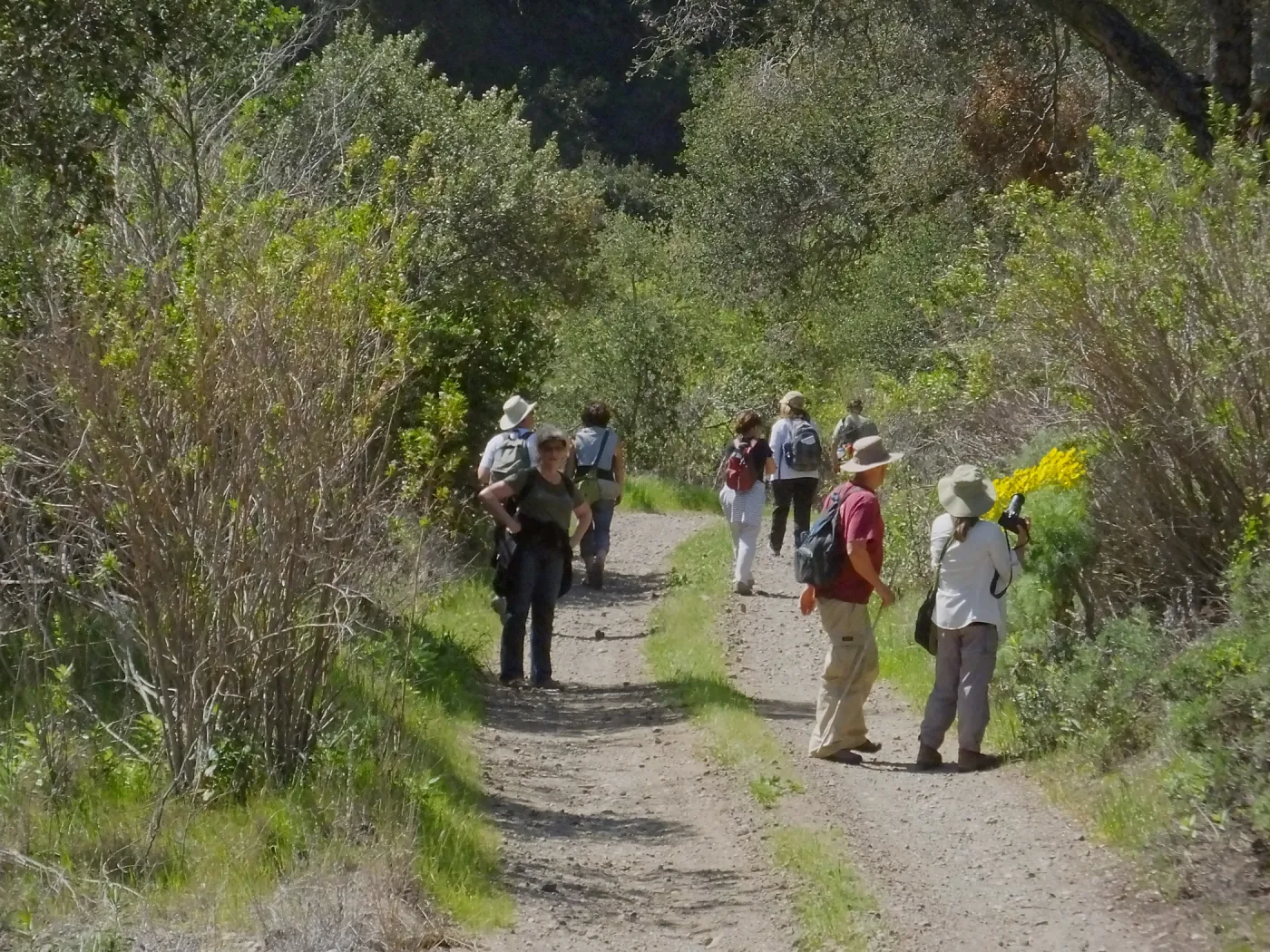 Steve Junak Retirement Trip to Santa Cruz Island